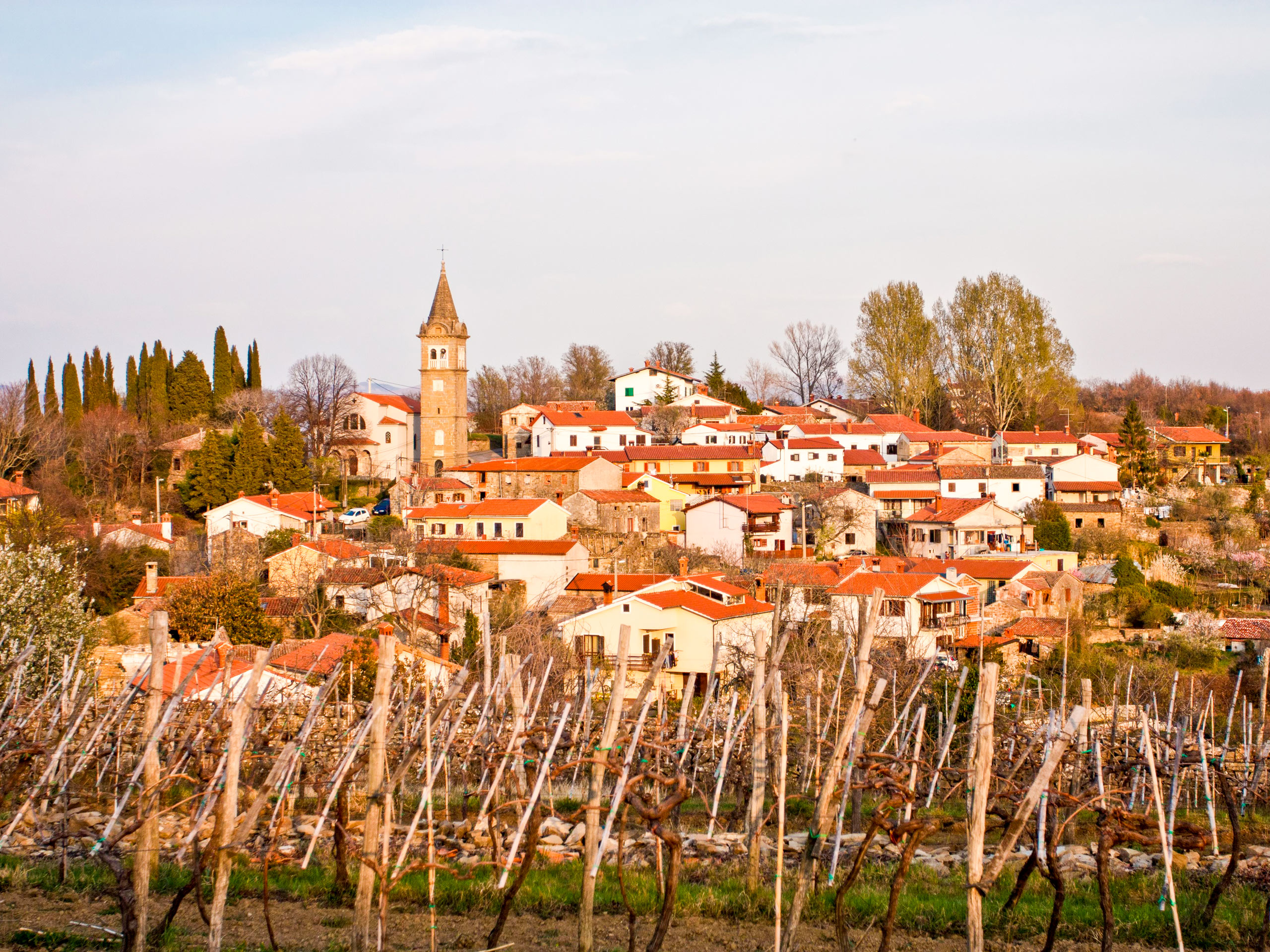 Town near the vineyard in Slovenia