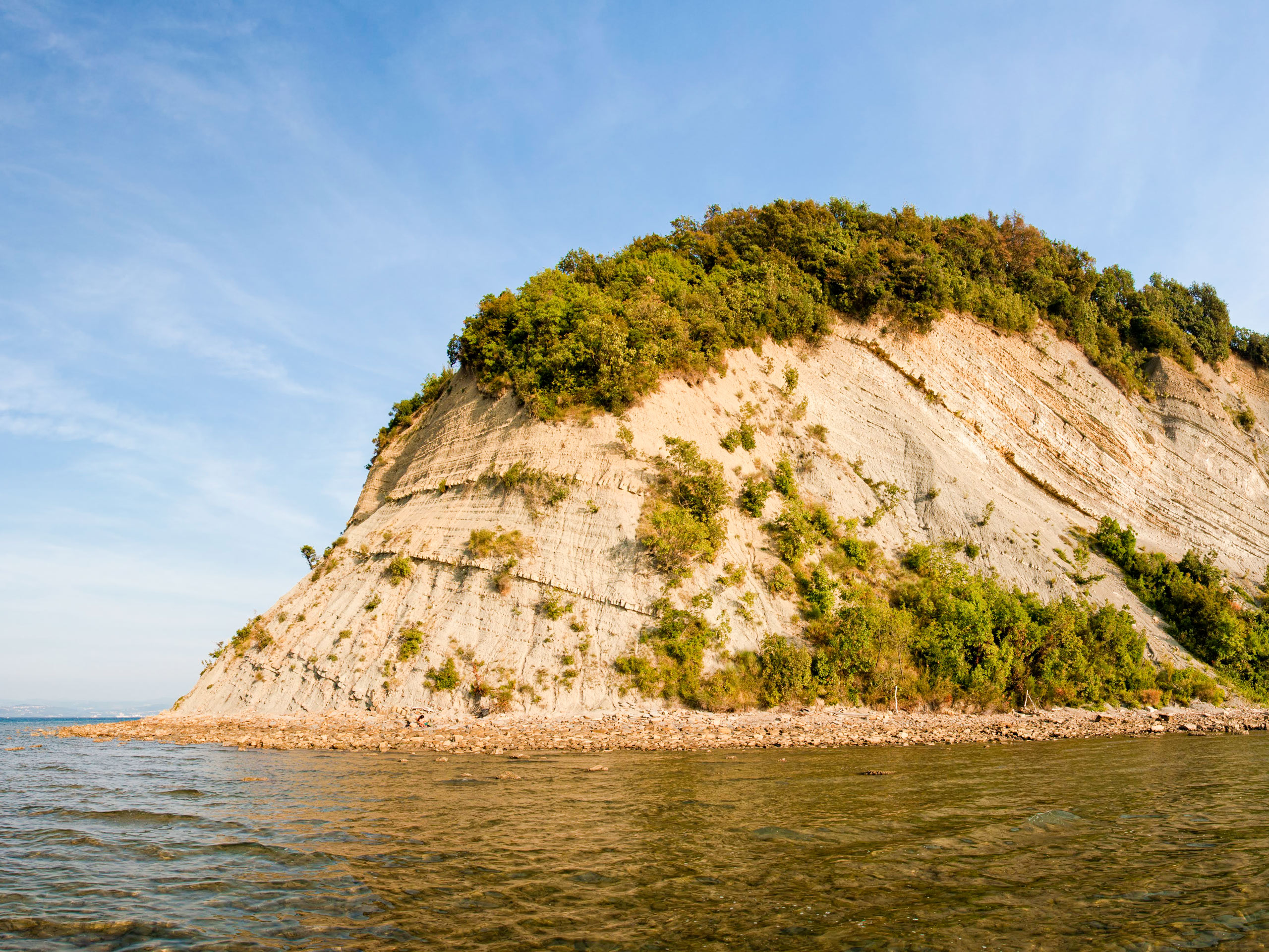 Sea rock near the Strunjan in Slovenia