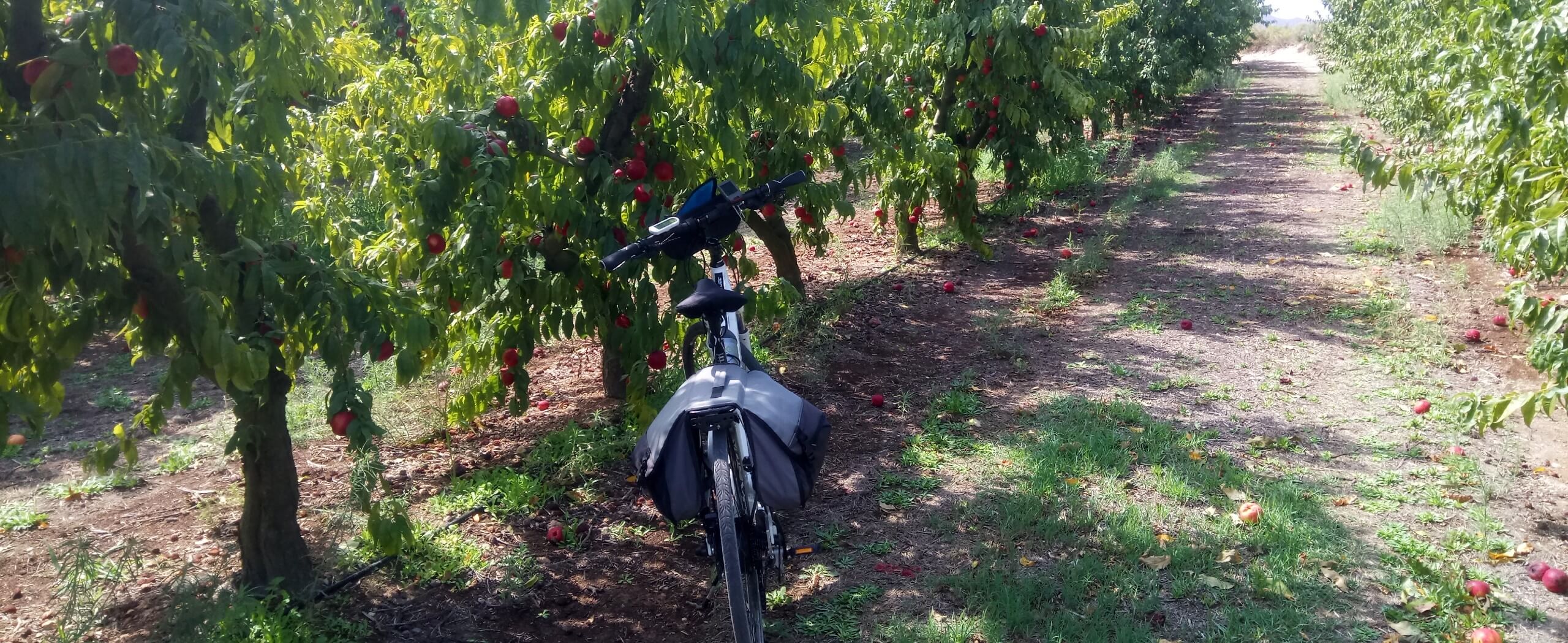 Cycling the Via Verde of Catalonia