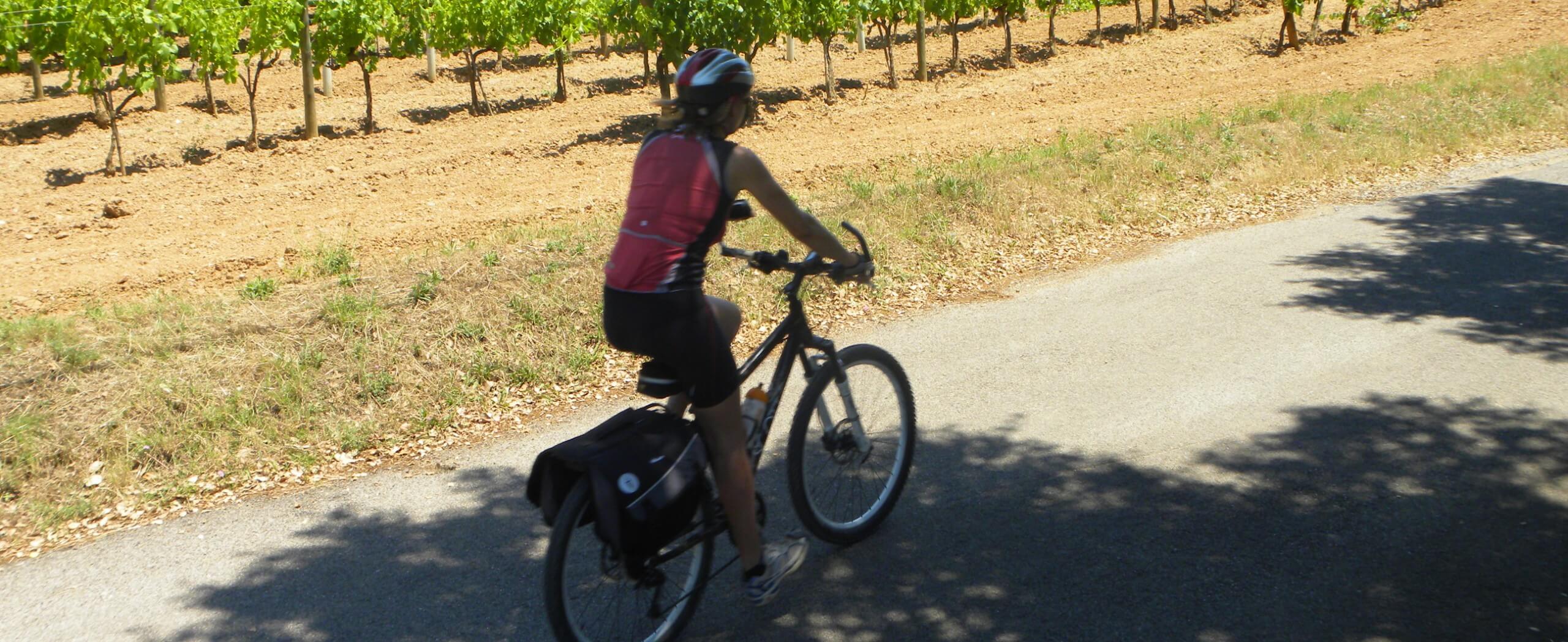 Wine Tour of La Rioja by Bike