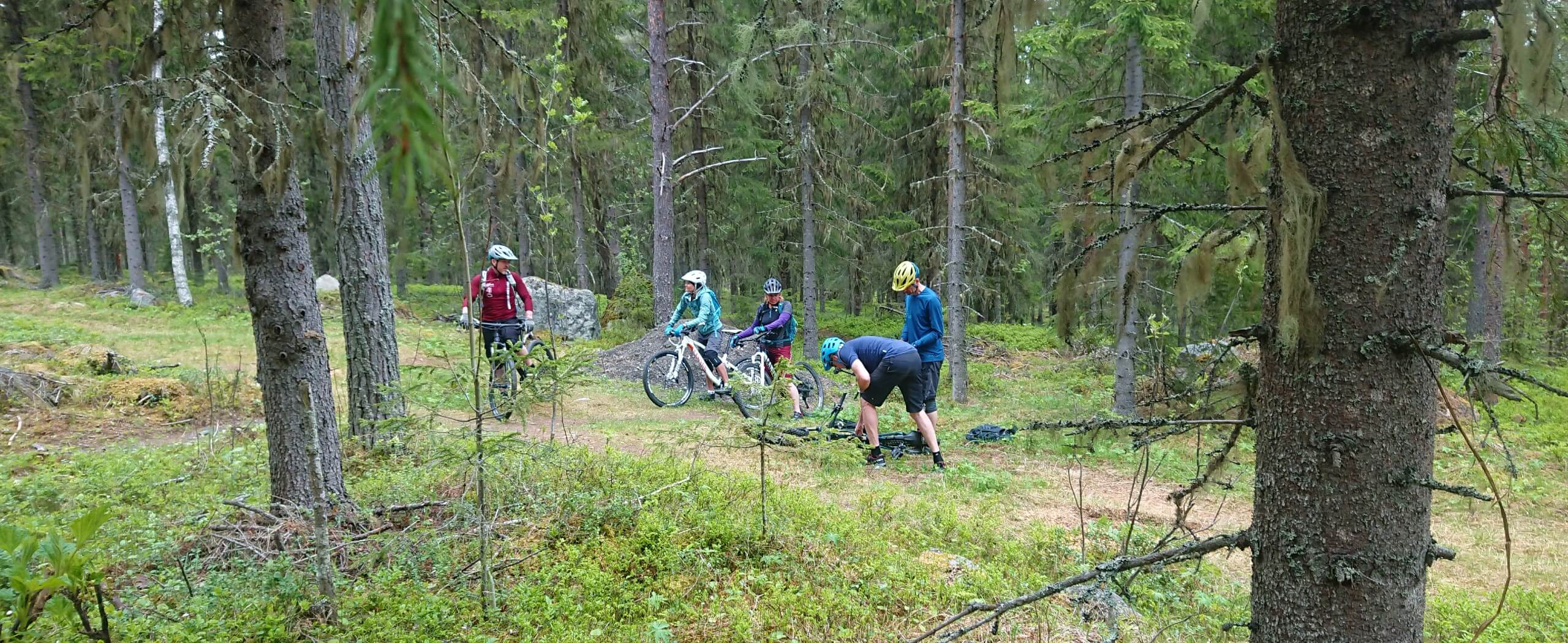 Bike & Hike in Sweden’s Wilderness