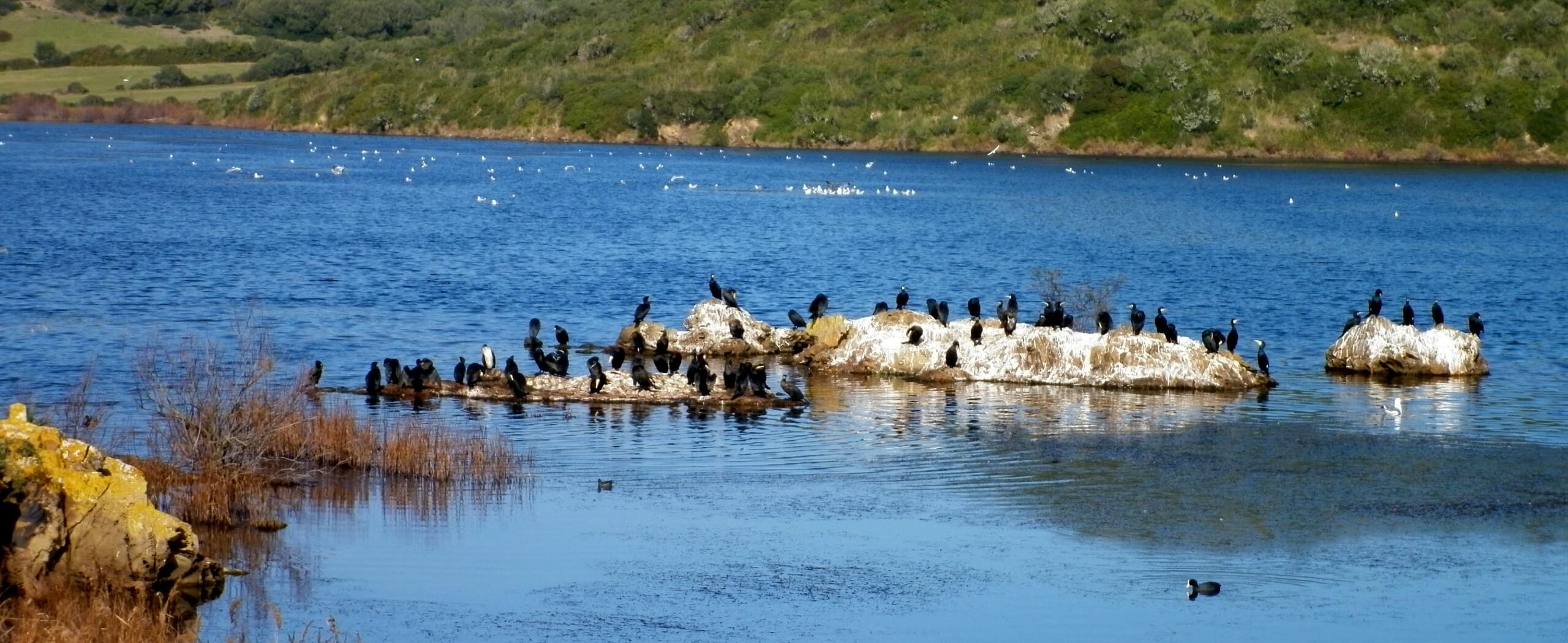 The Beauty of Menorca Walking Tour