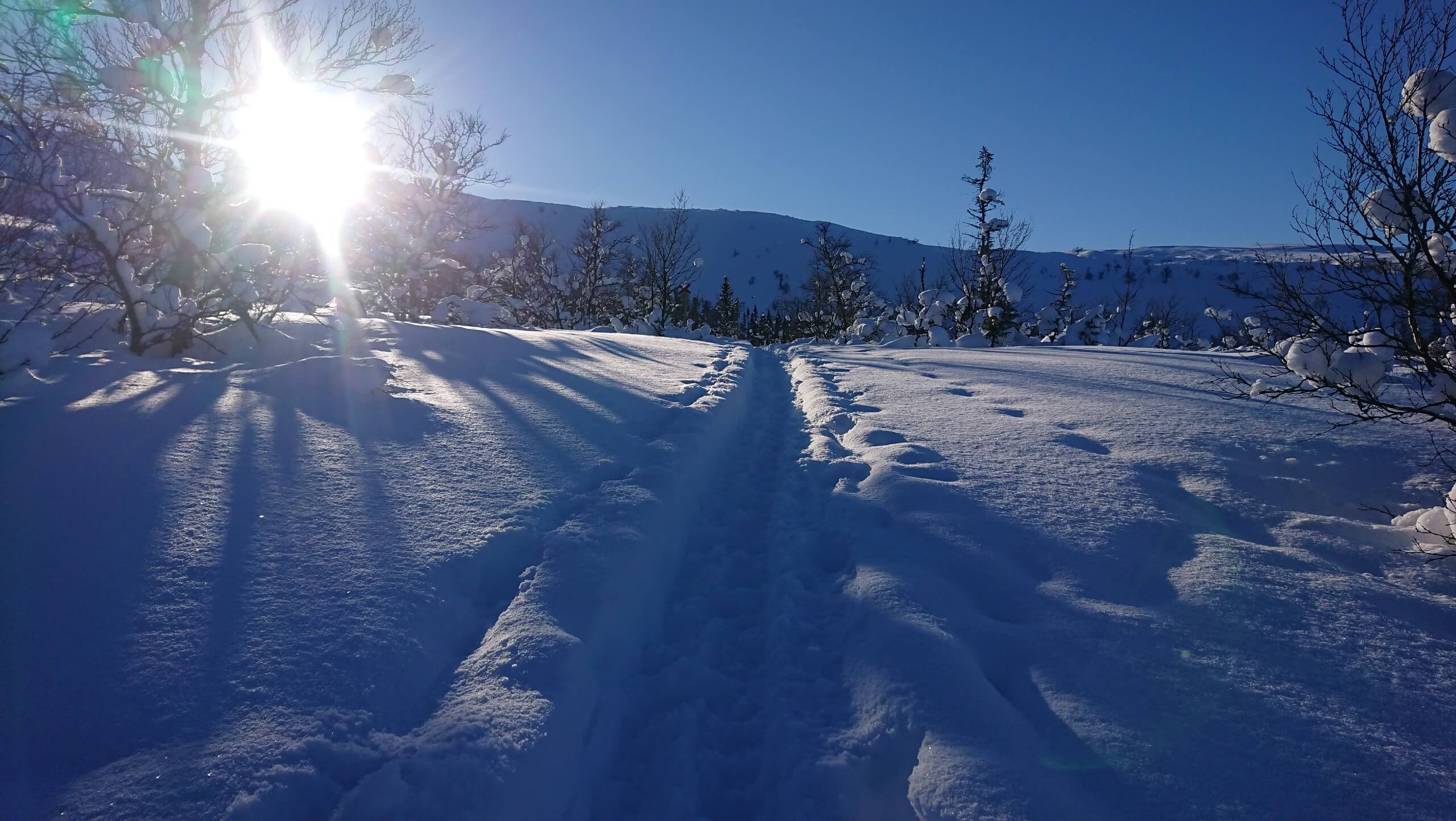 Cross-Country Skiing in the Heart of Sweden