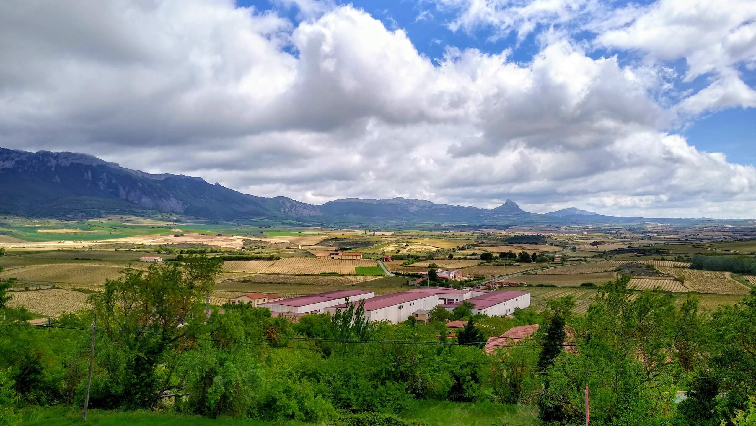 Wine Tour of La Rioja by Bike