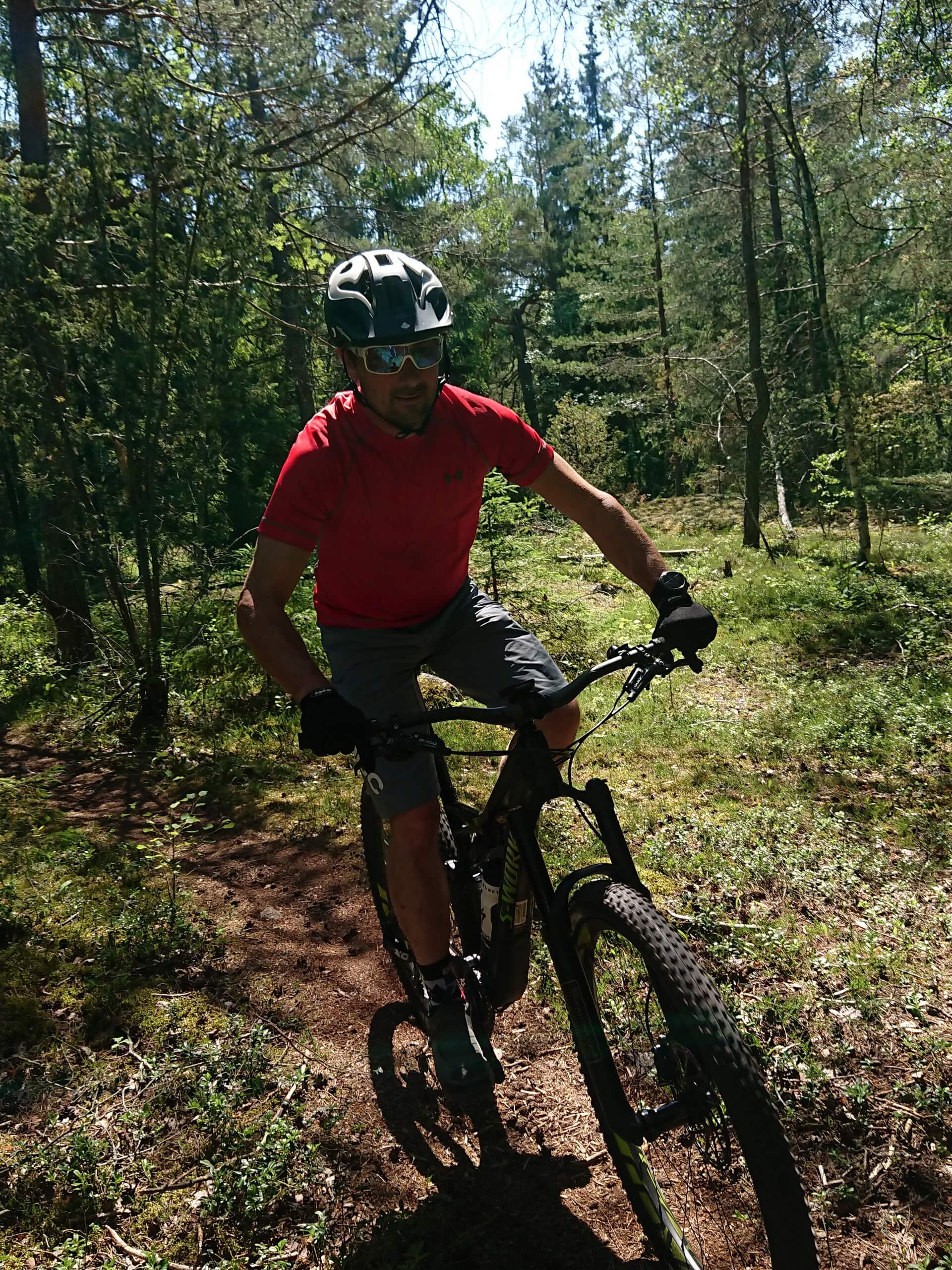 Biker riding the mountain bike in Jämtland