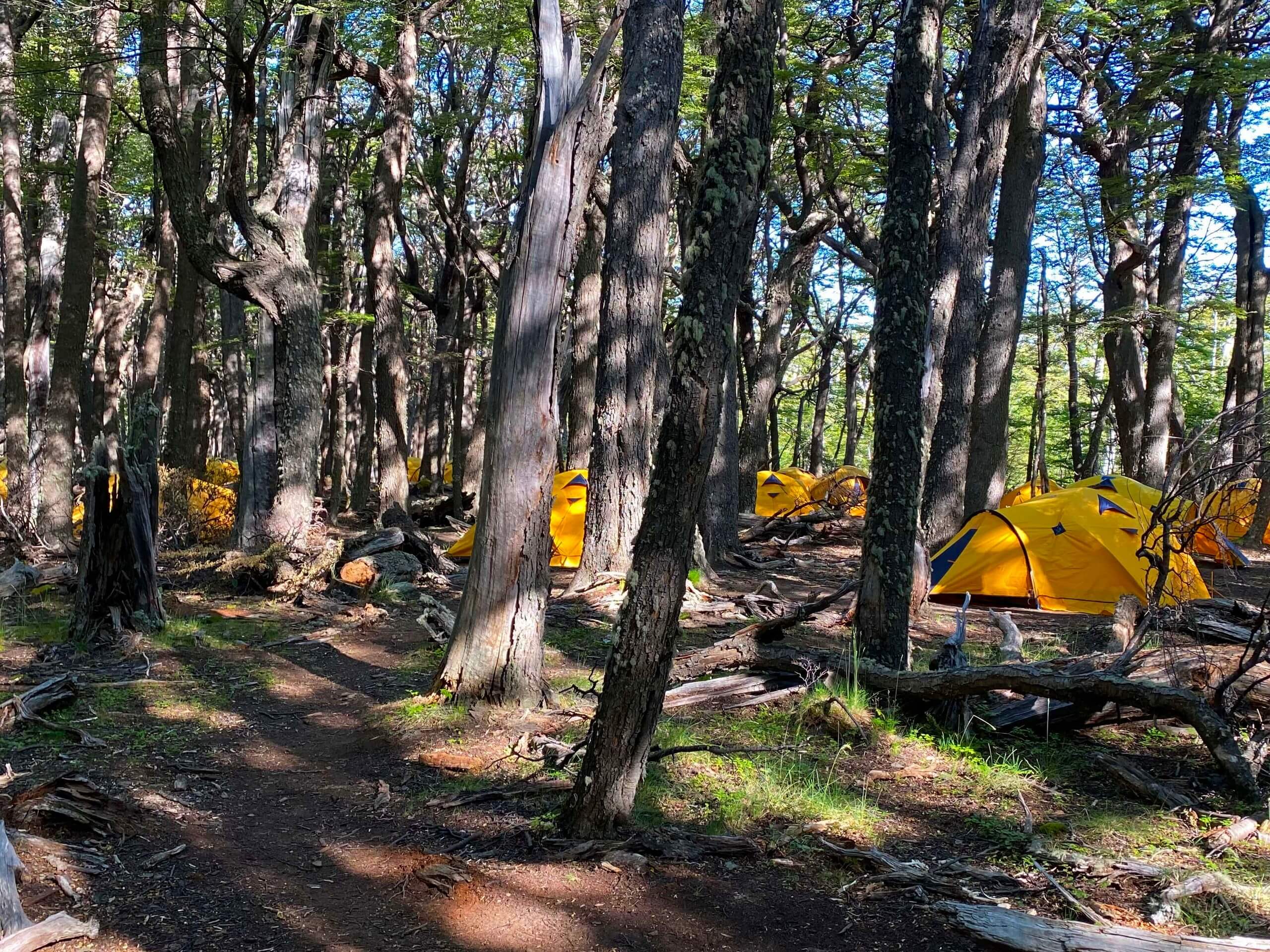 Tetns along the trekking route in Patagonia