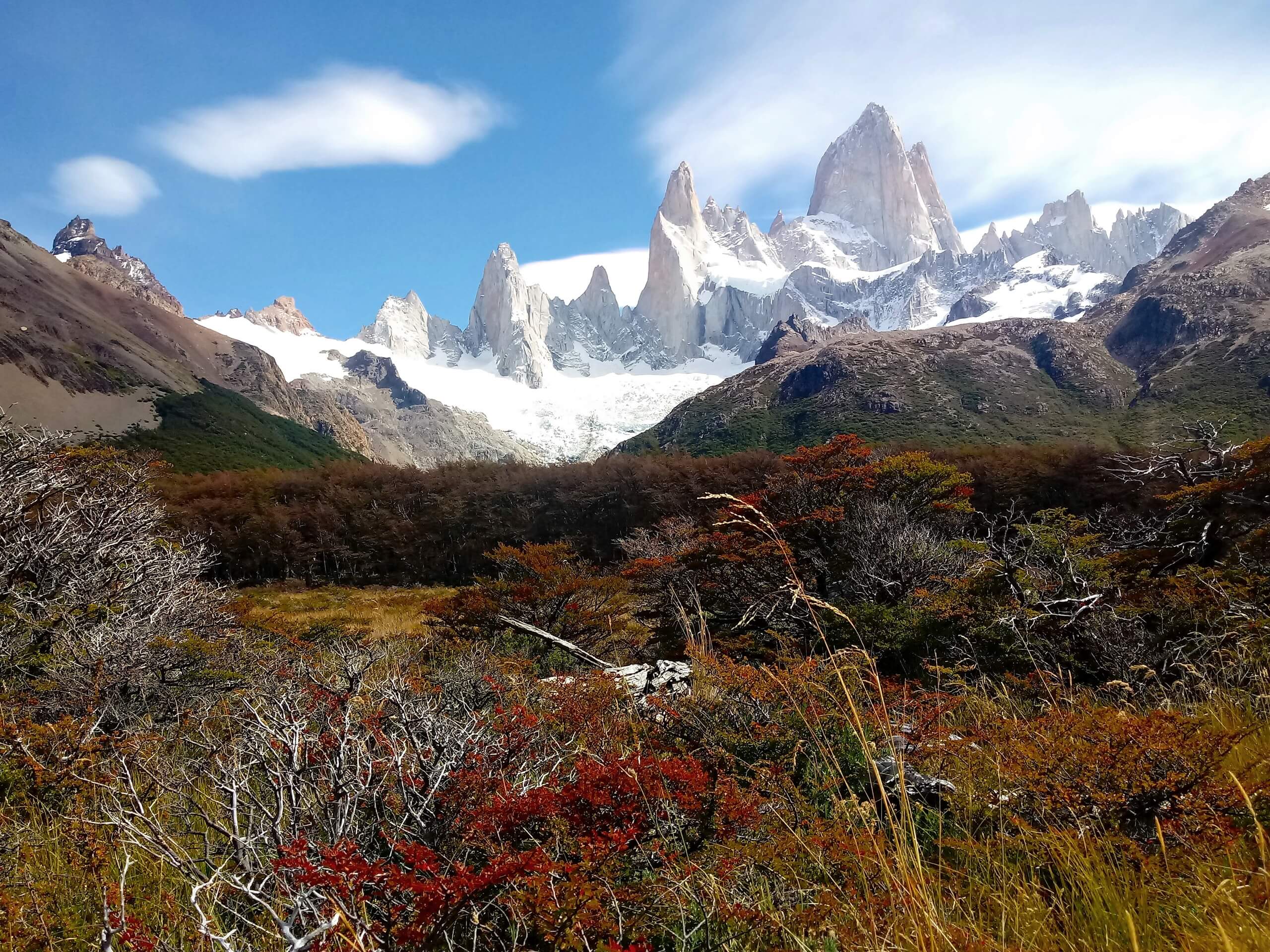 Autumn colors in Patagonia