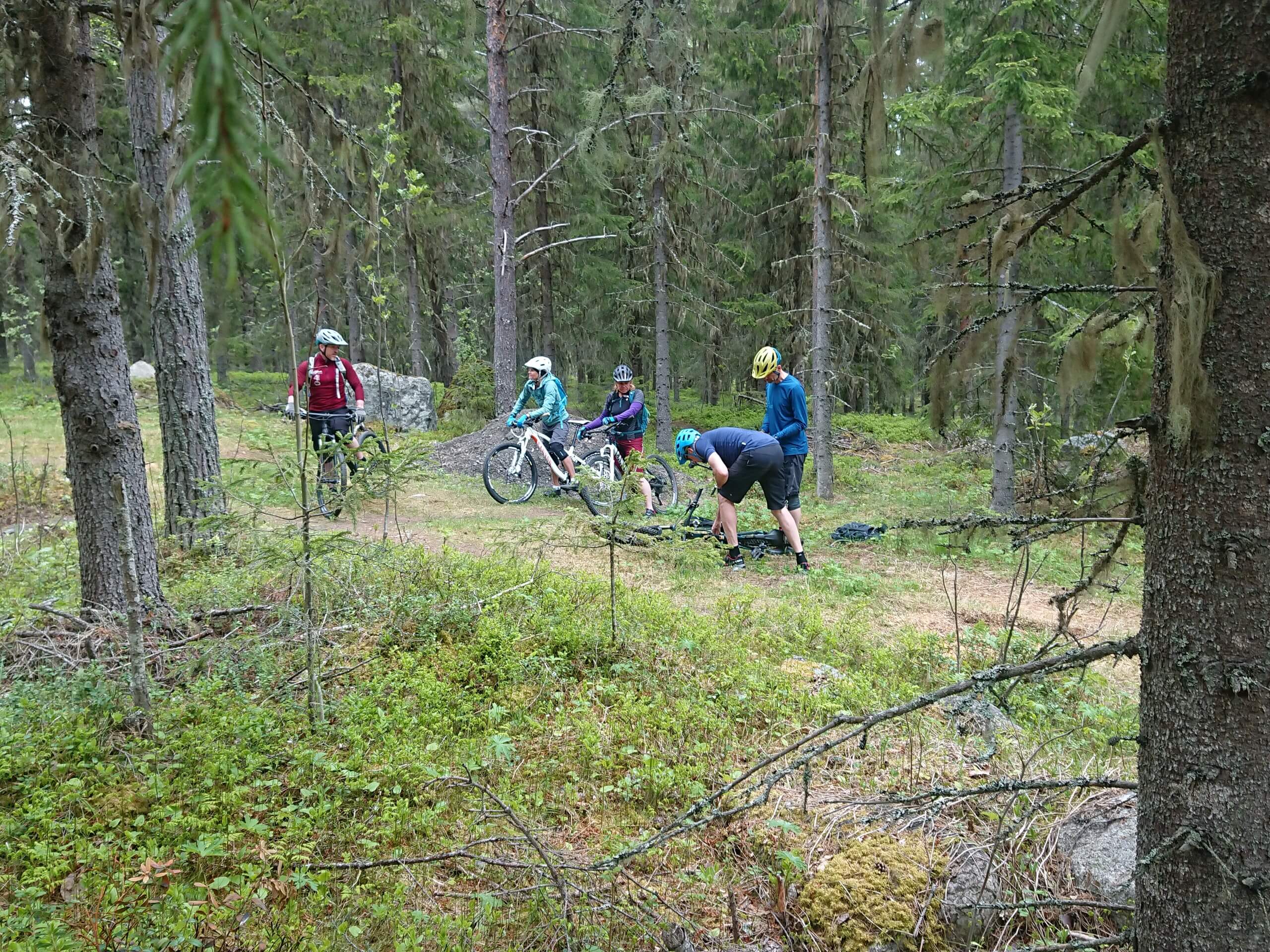 Group of bikers in Swedish forests