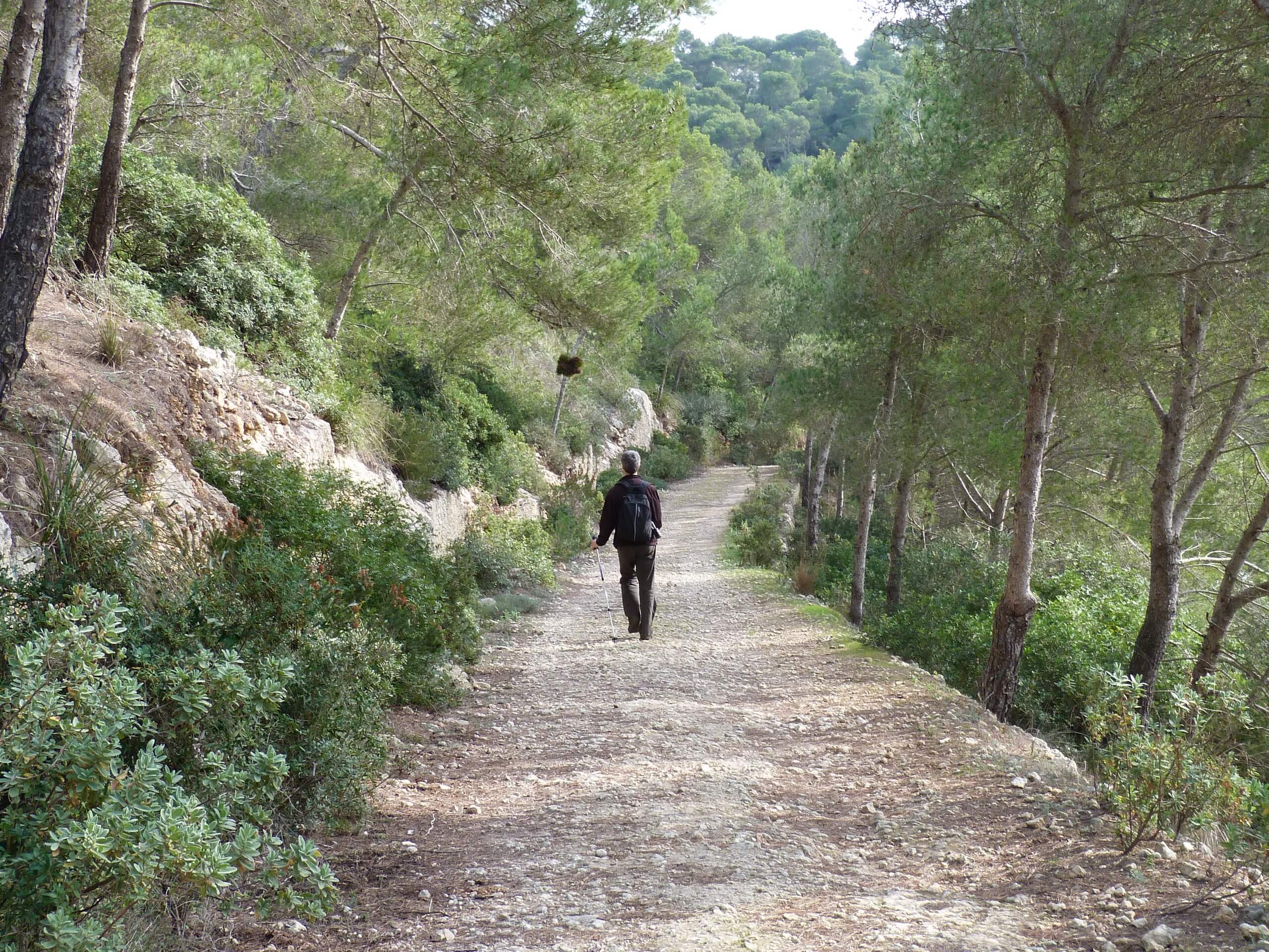 Cami de Cavalls interior in Minorca