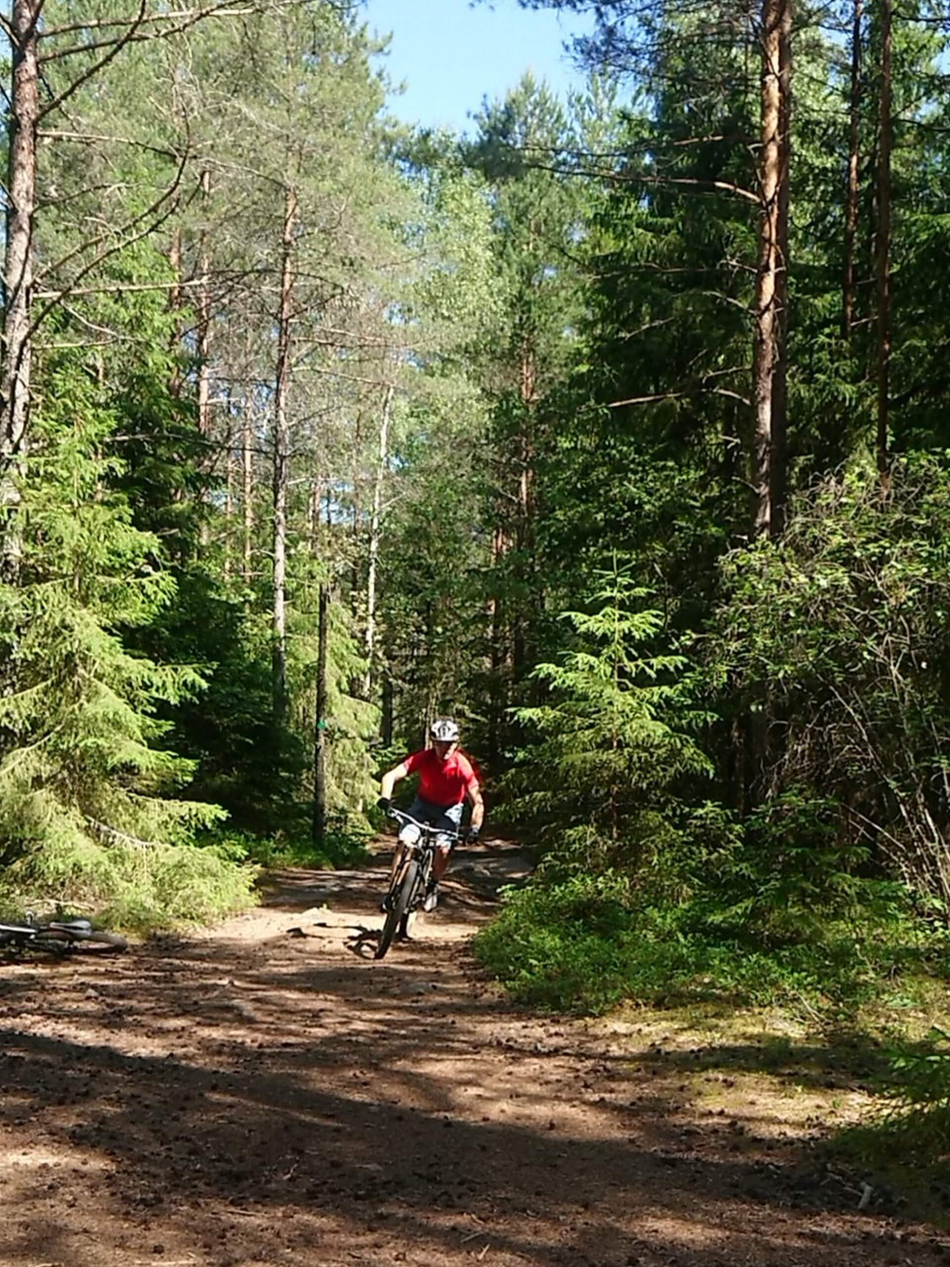 Mountain biker on a forest path in Jämtland