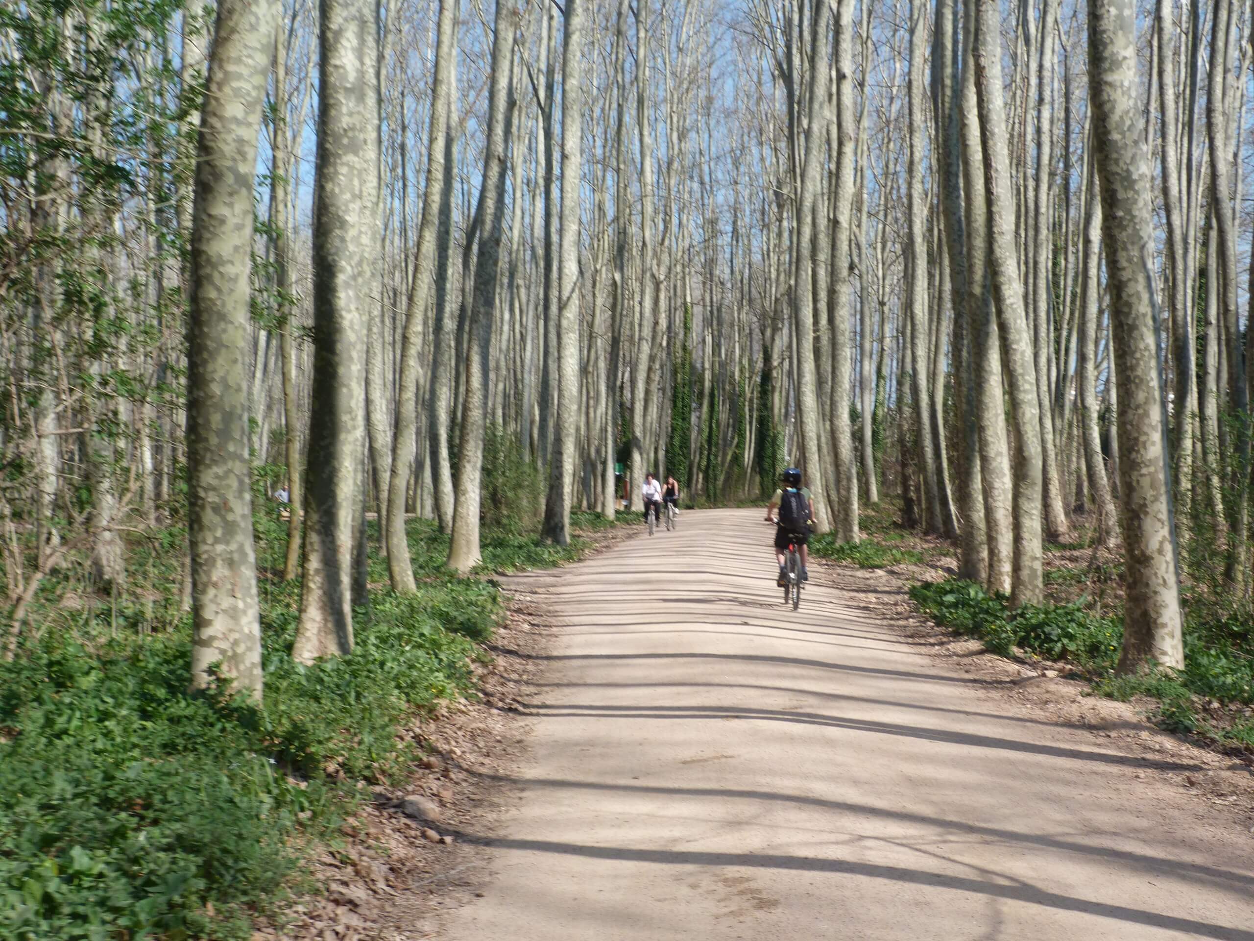 Entreé Girona in Catalonia