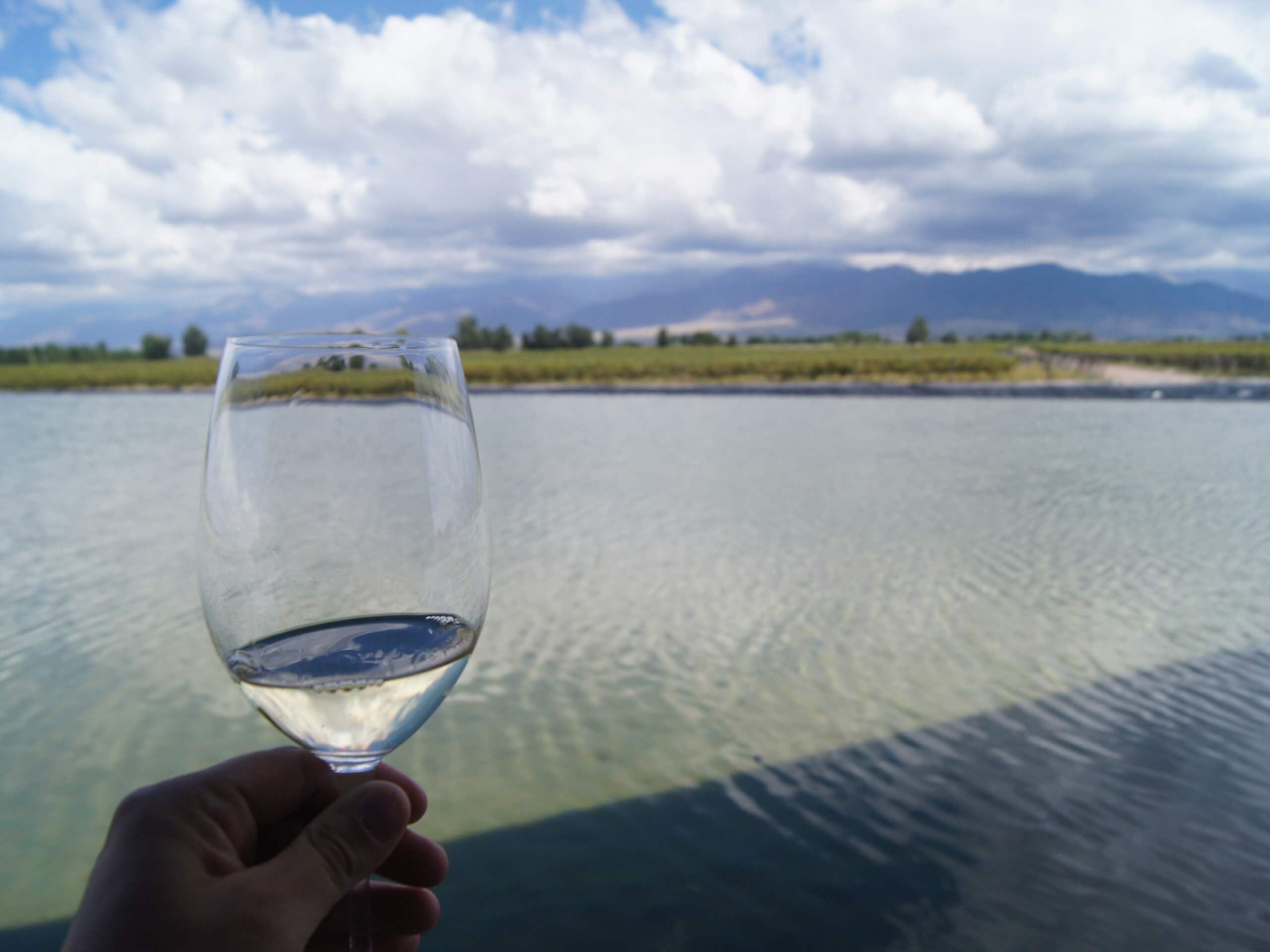 Tasting white wine in Uco valley