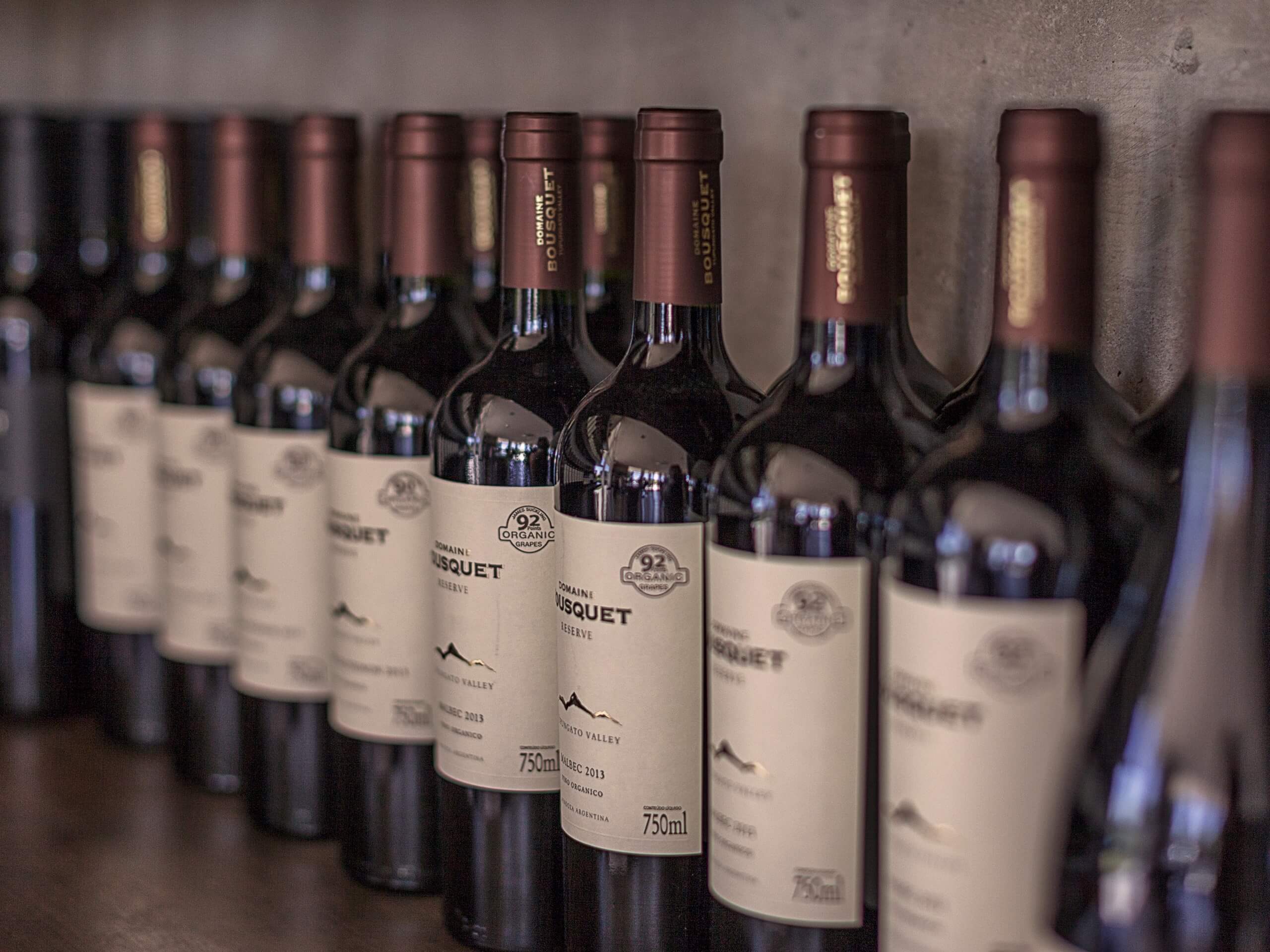 Wine and Adventure Tour in Argentina 10Adventures