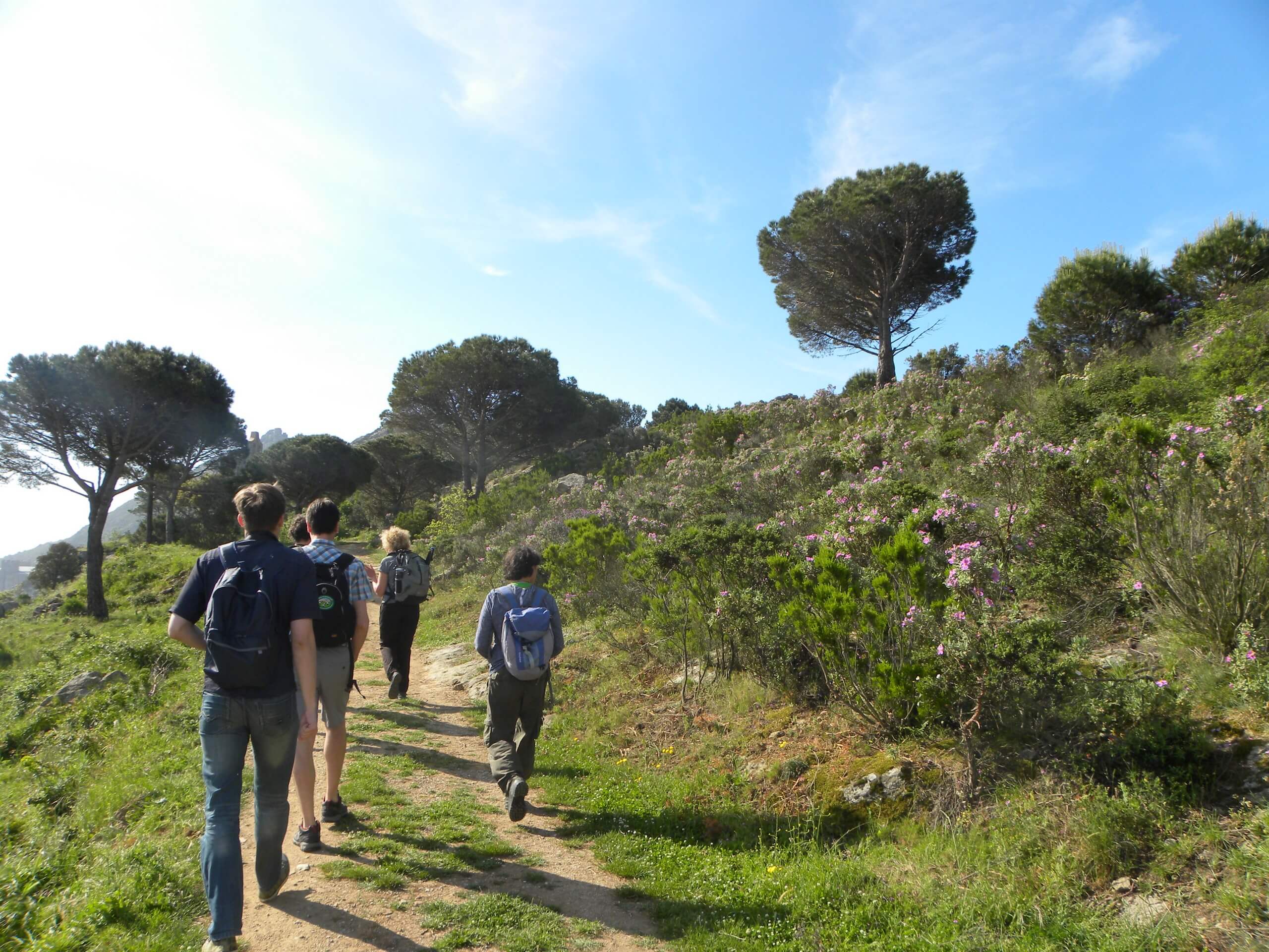 Walking among the vineyards