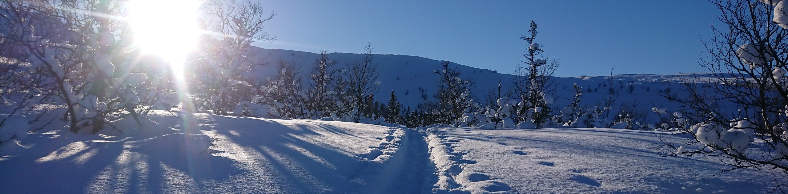 Cross-Country Skiing in the Heart of Sweden