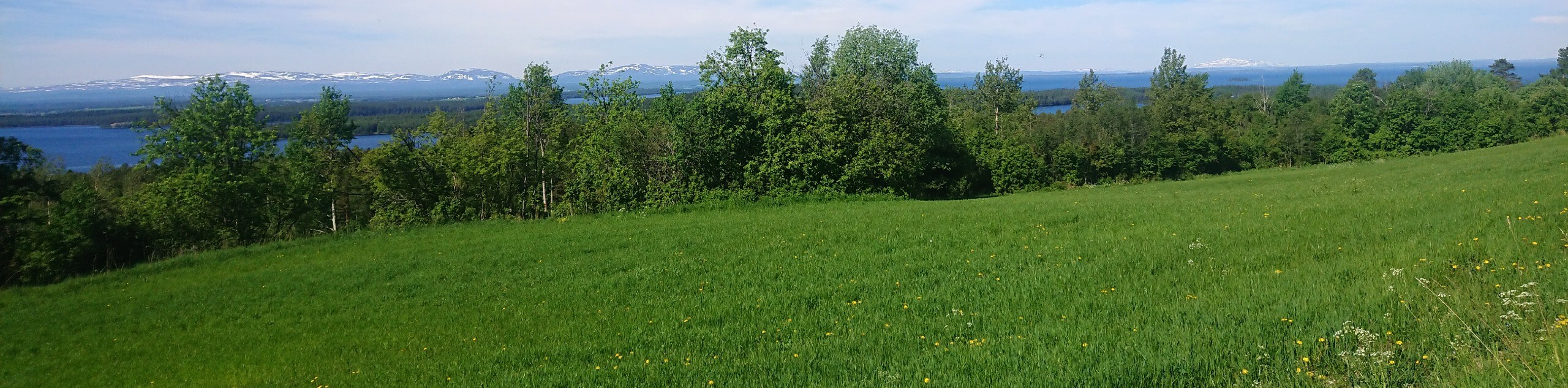 Bike & Hike in Sweden’s Wilderness