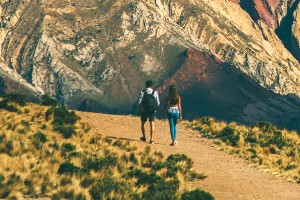 Overland Across the Atacama Desert