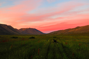 Chukotka: Trekking at the Edge of the Earth Tour