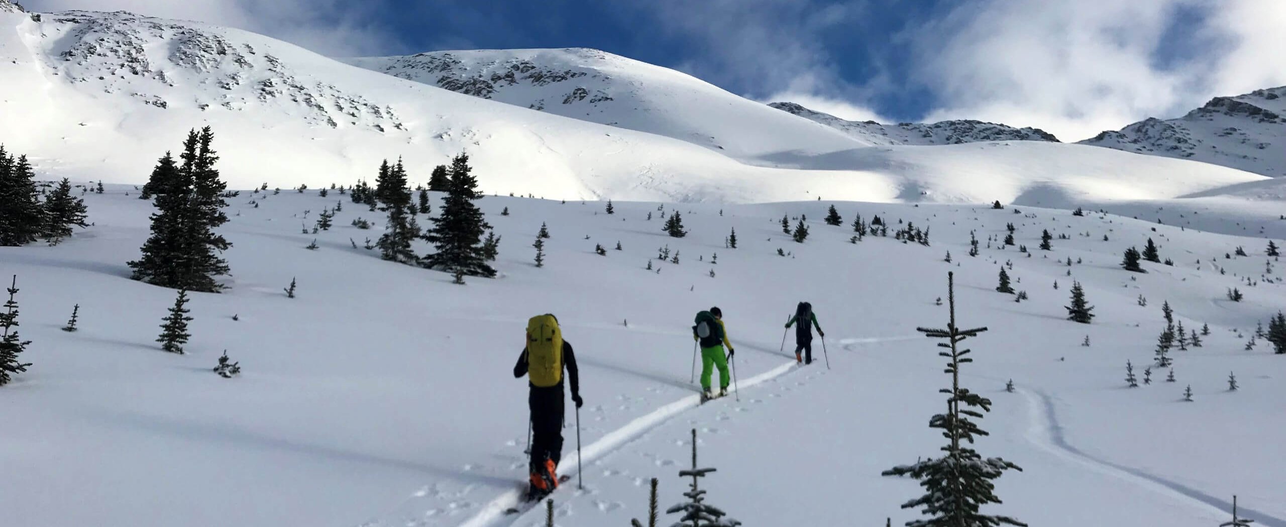 Avalanche Skills Training 1 in the Canadian Rockies