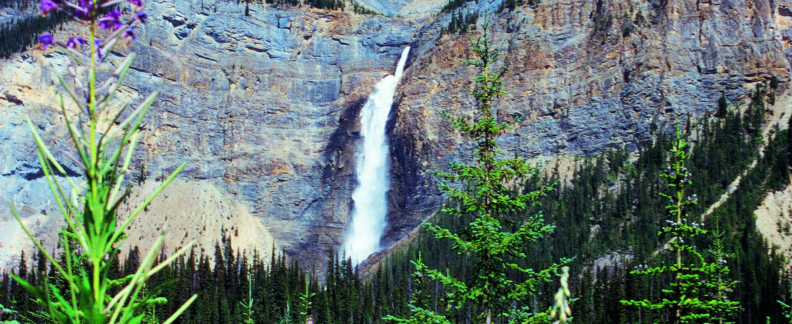 Backpacking the Yoho Valley and Iceline Trail