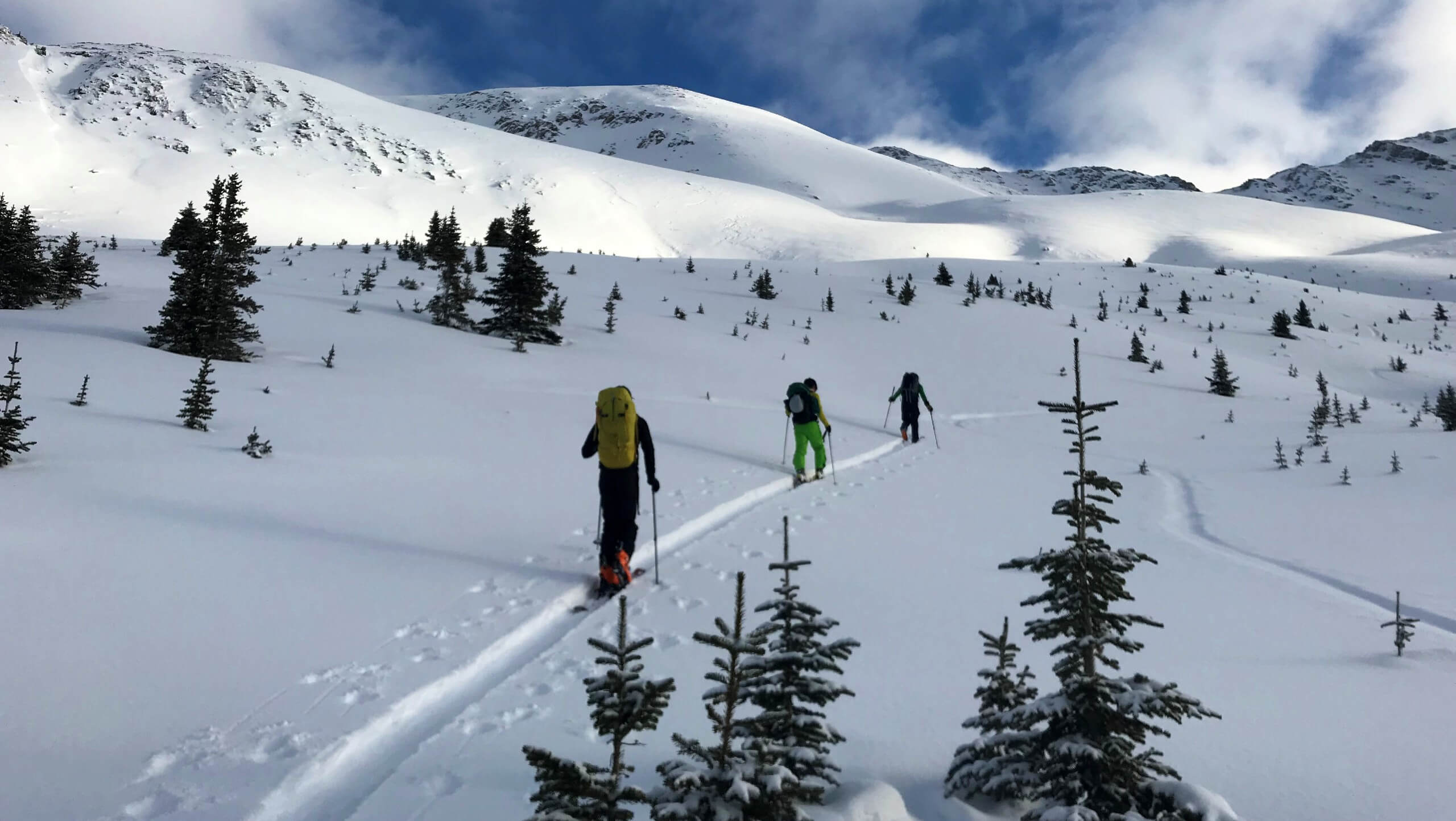 Avalanche Skills Training 1 in the Canadian Rockies