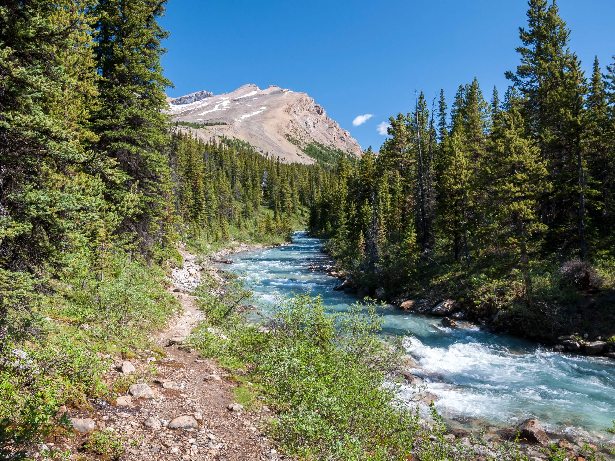 The trail alongside Mosquito Creek