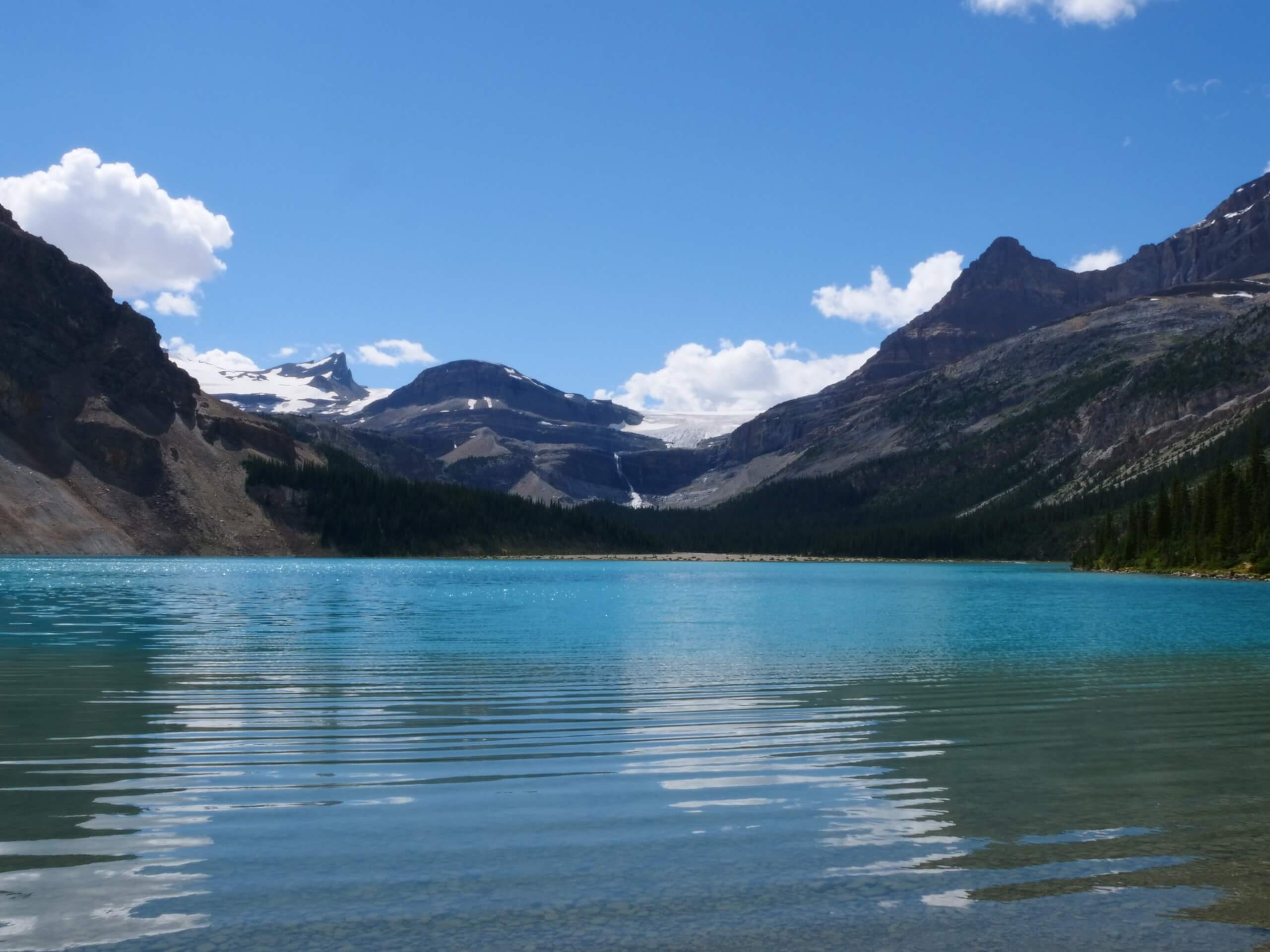 Bow Lake near Icefields Parkway