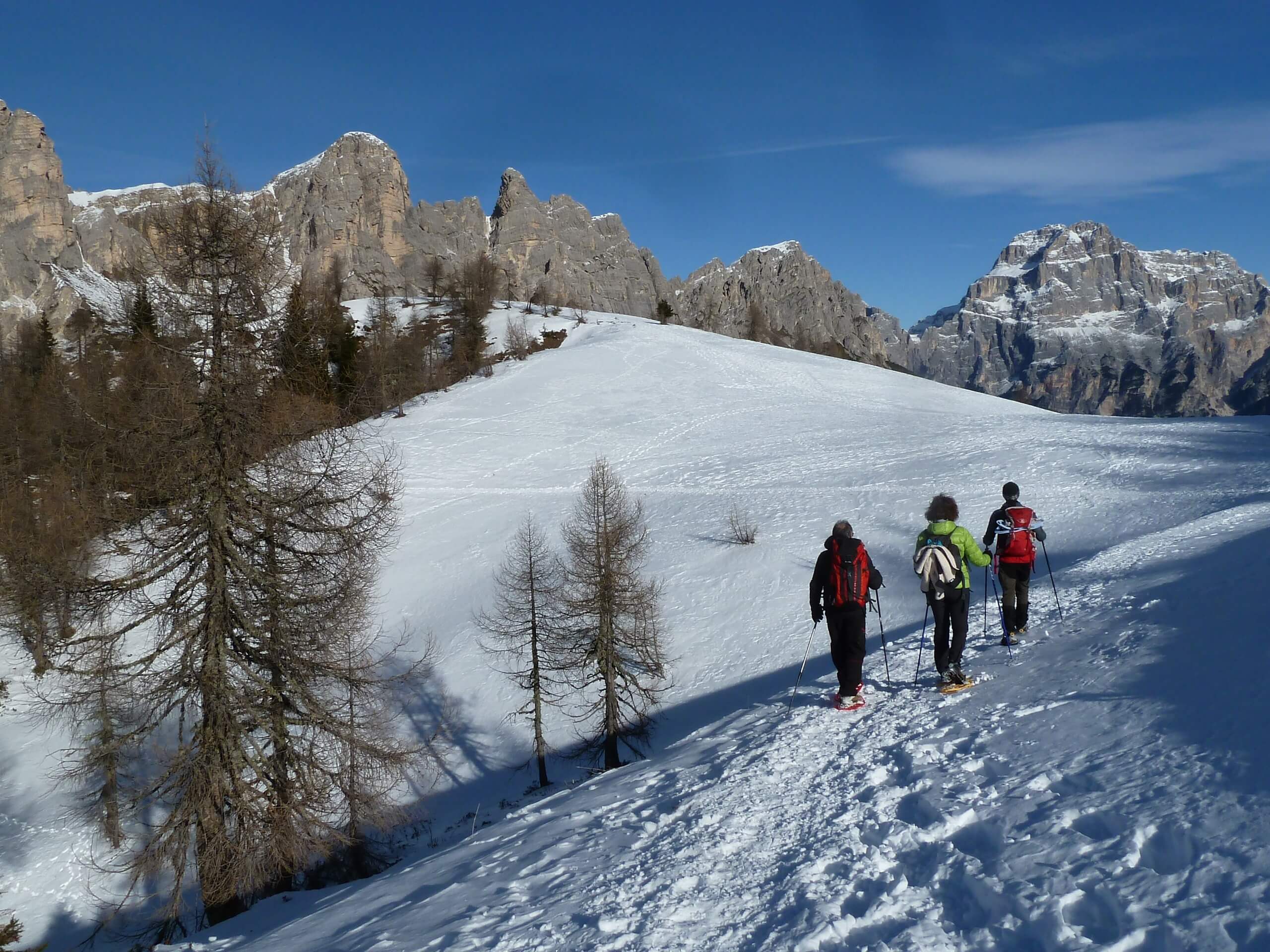 Group of hikers in the Dolomite Alps snowshoing with a guide