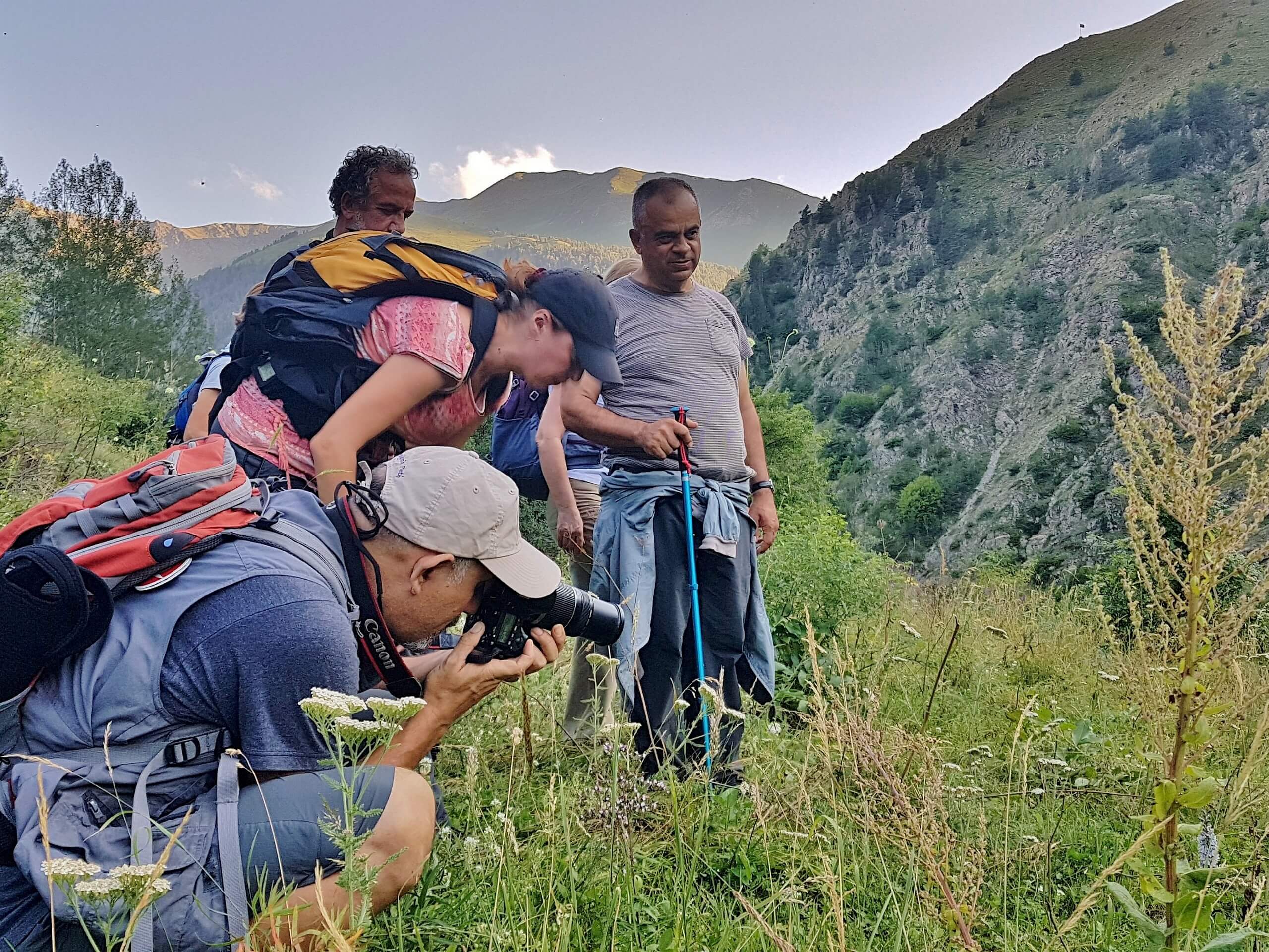 Hikers observing the plants in Pontic Alps, Turkey