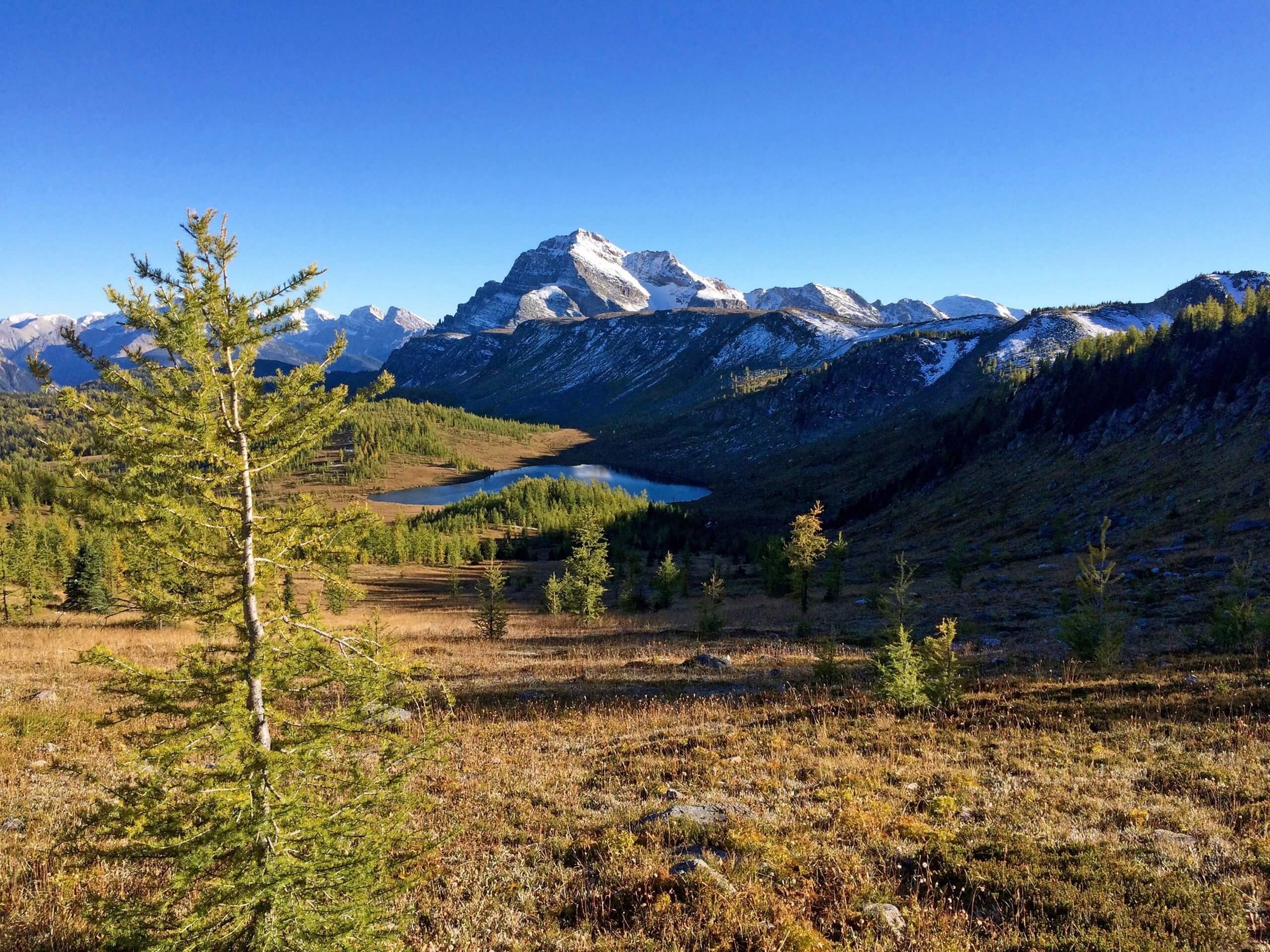 Autumn in the Assiniboine Region