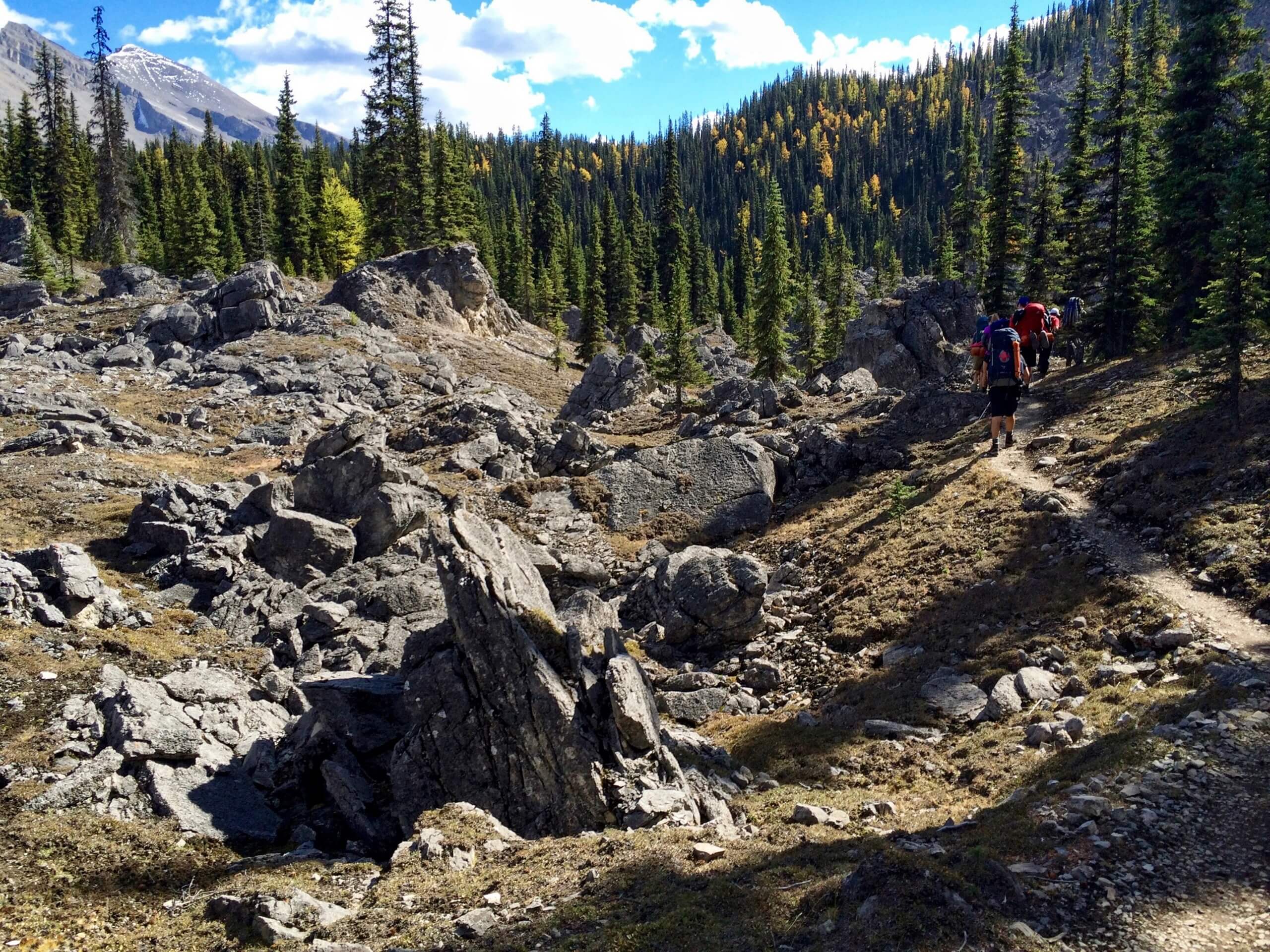 Rocky path in Banff National Park