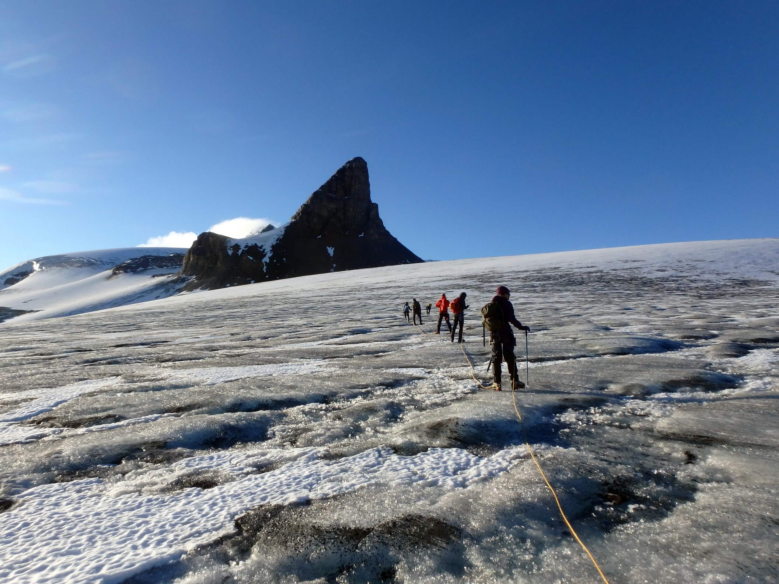 roped galcier travel on Wapta Icefield