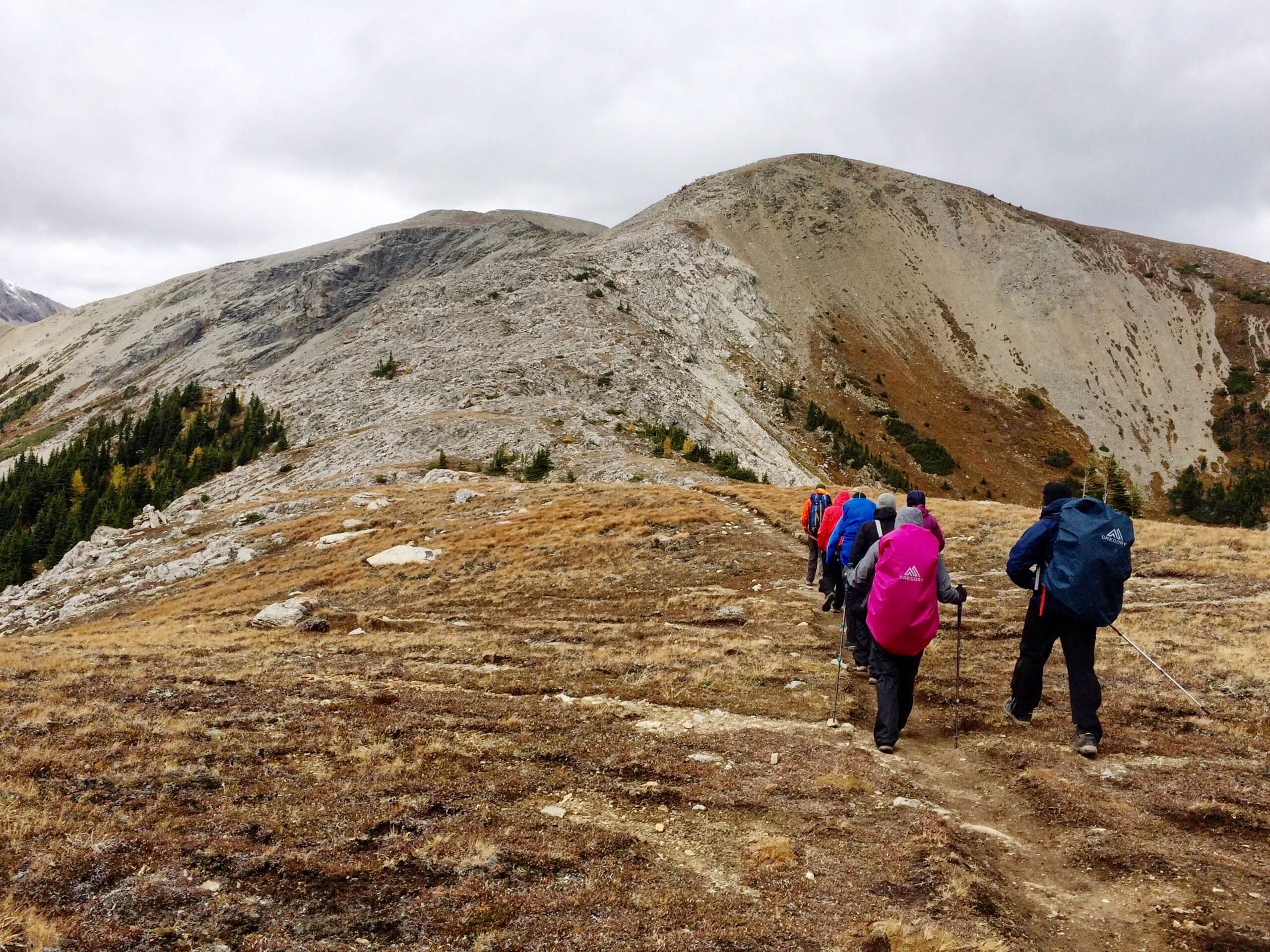 Group of hikers trekking in Banff National Park near Assiniboine