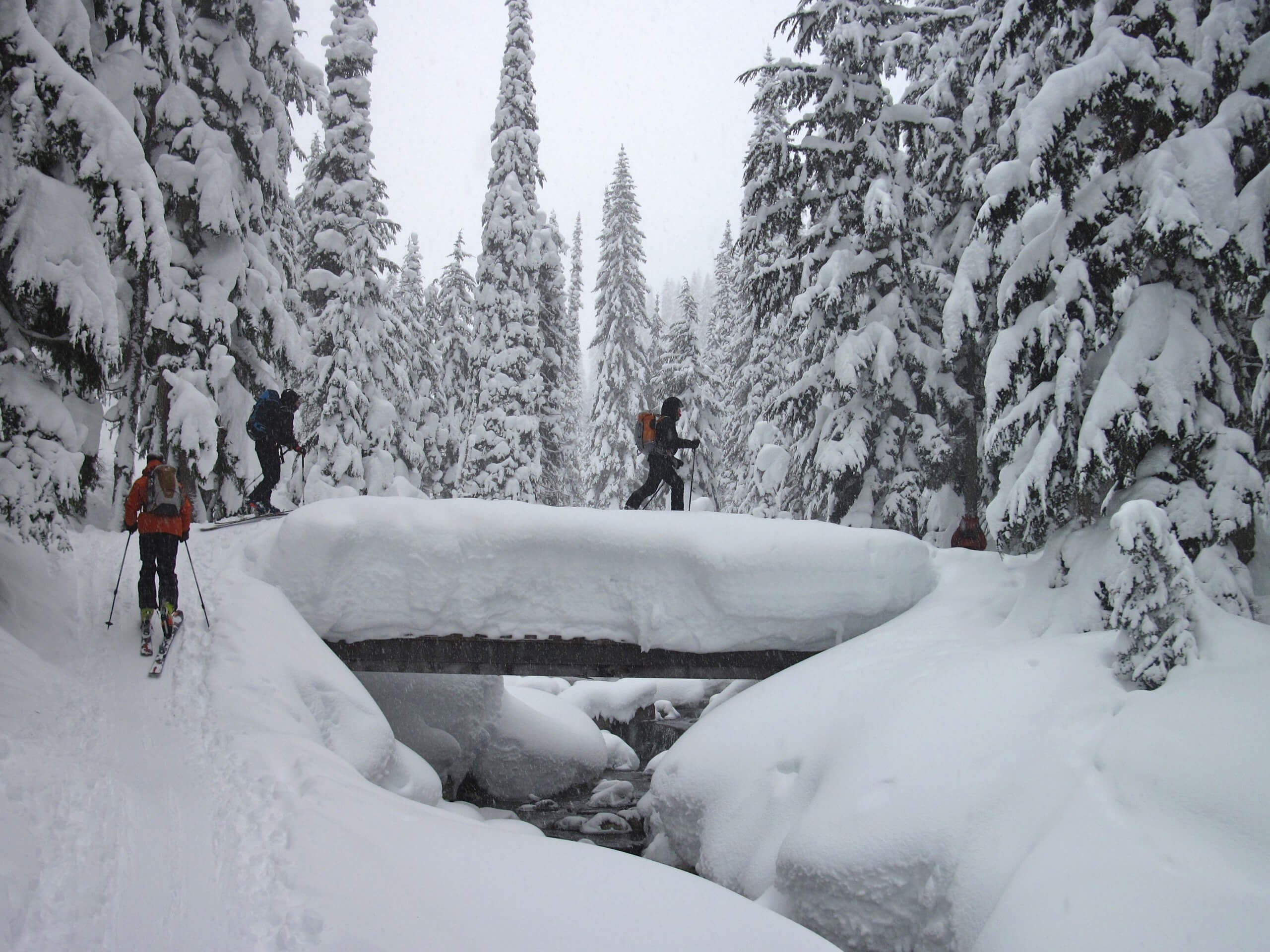 Rogers Pass AST2 (Ron Bell)_2