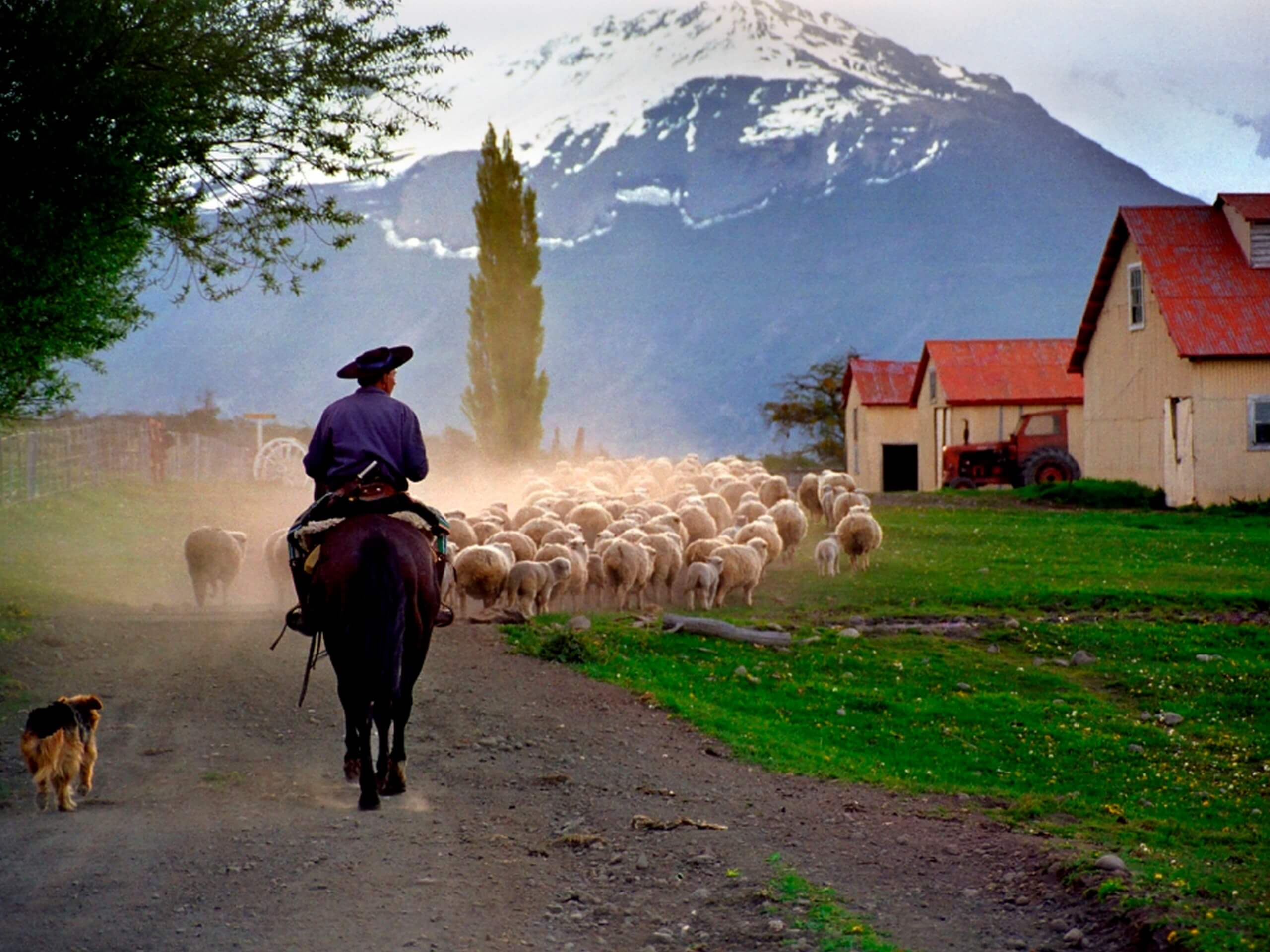 Farm in Patagonia