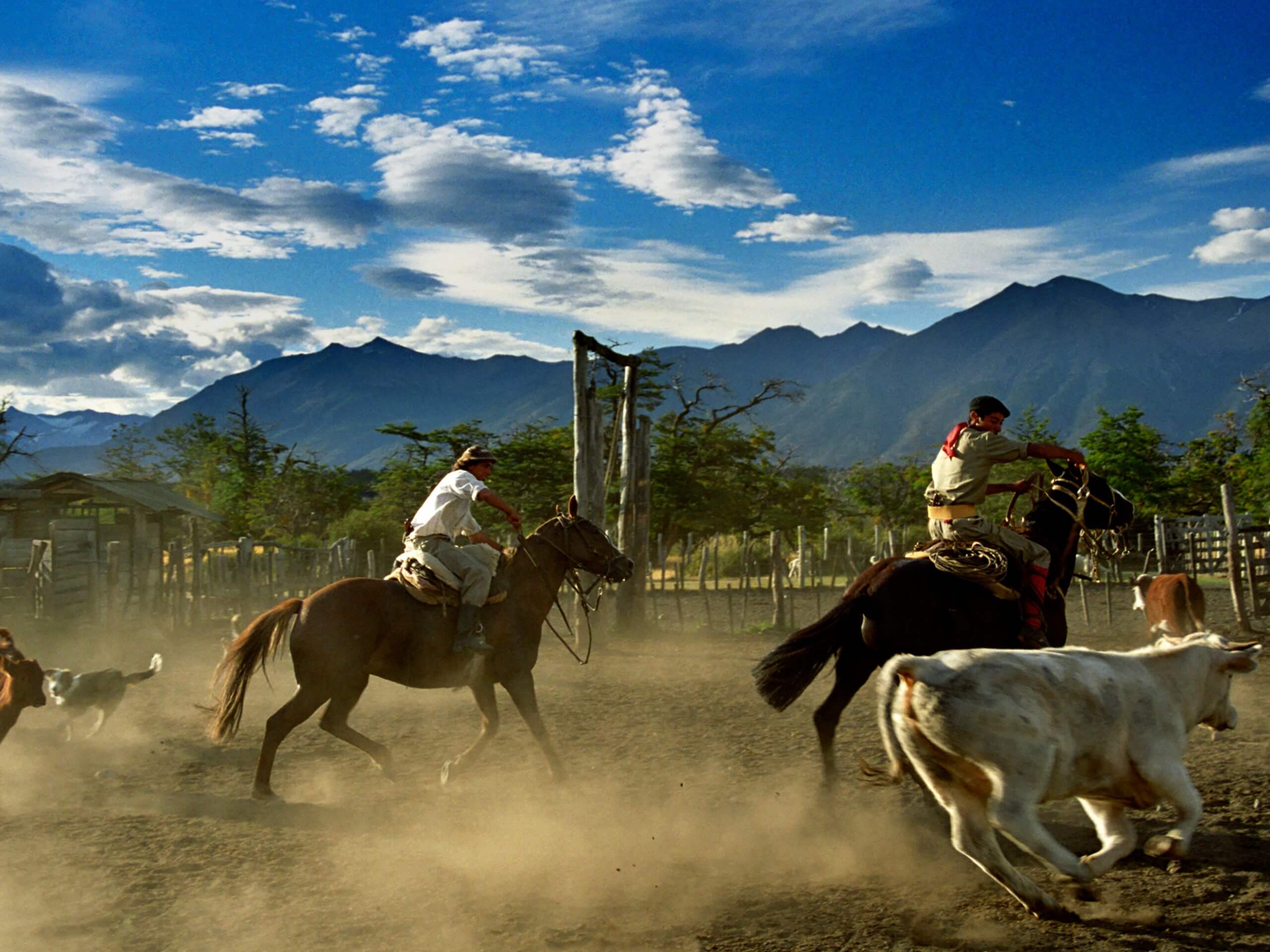 Cowboys in Patagonia