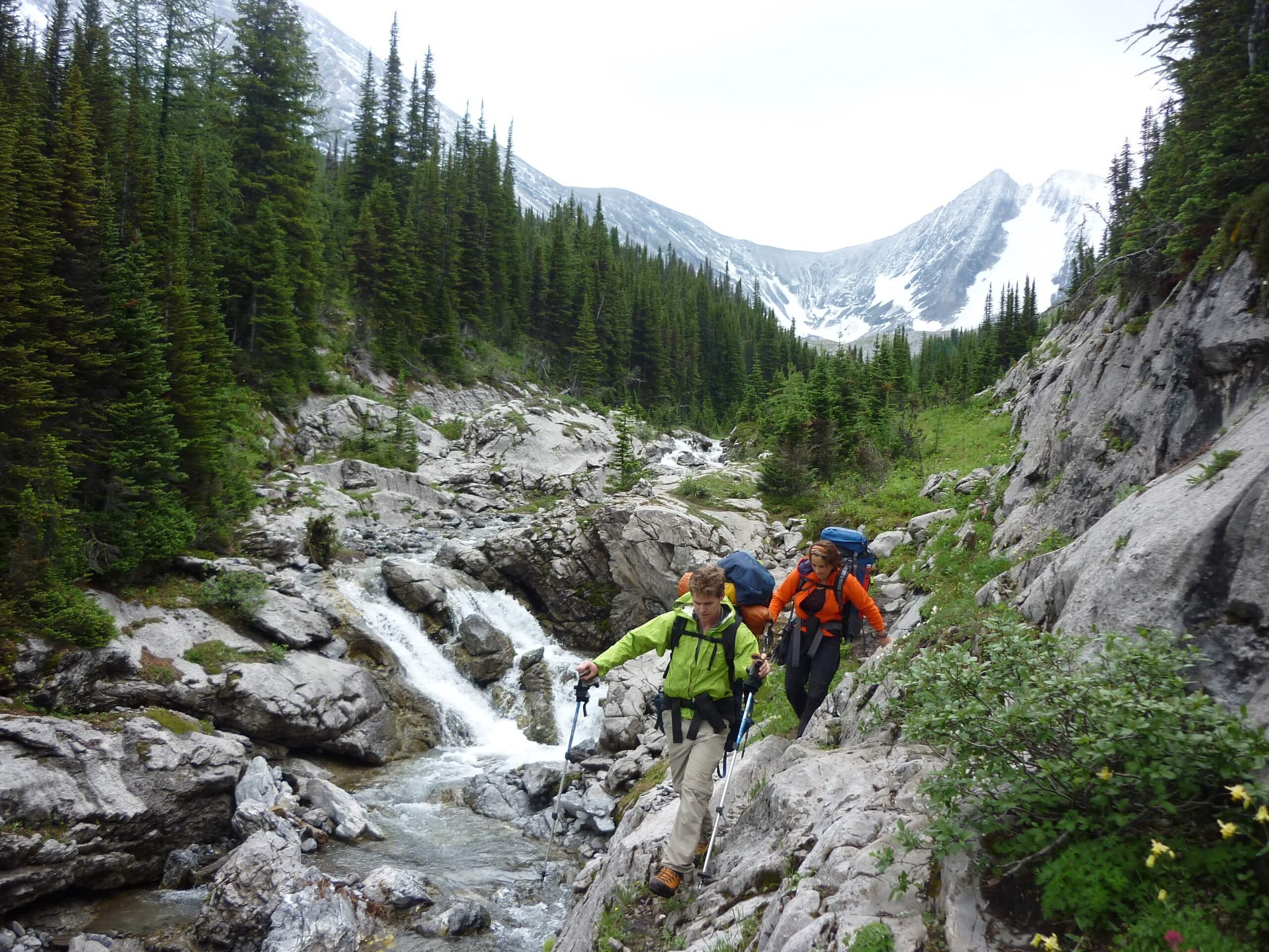 Walking along the creek in Kananaskis