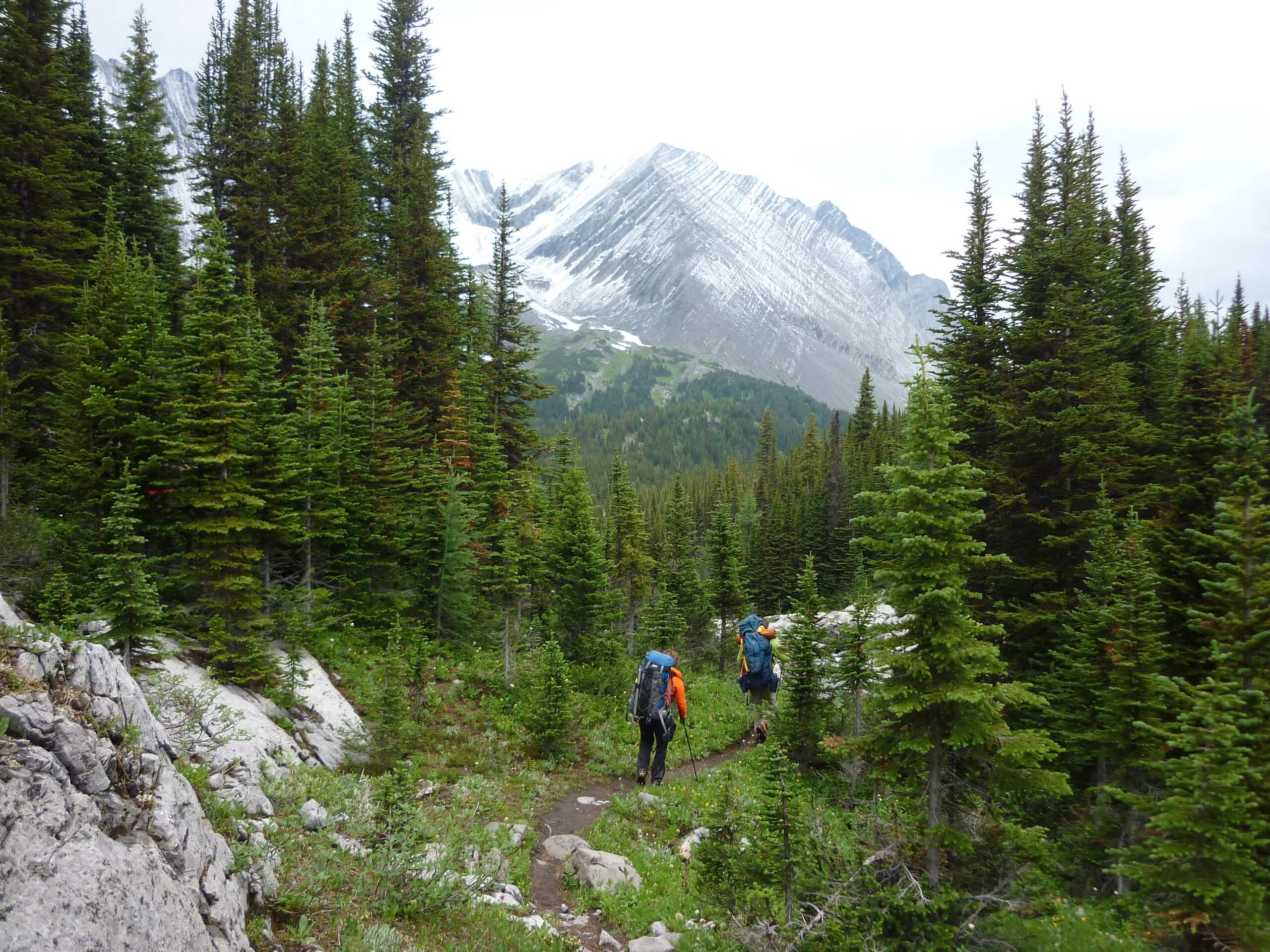 Hikers walking in the green valley in Kananaskis