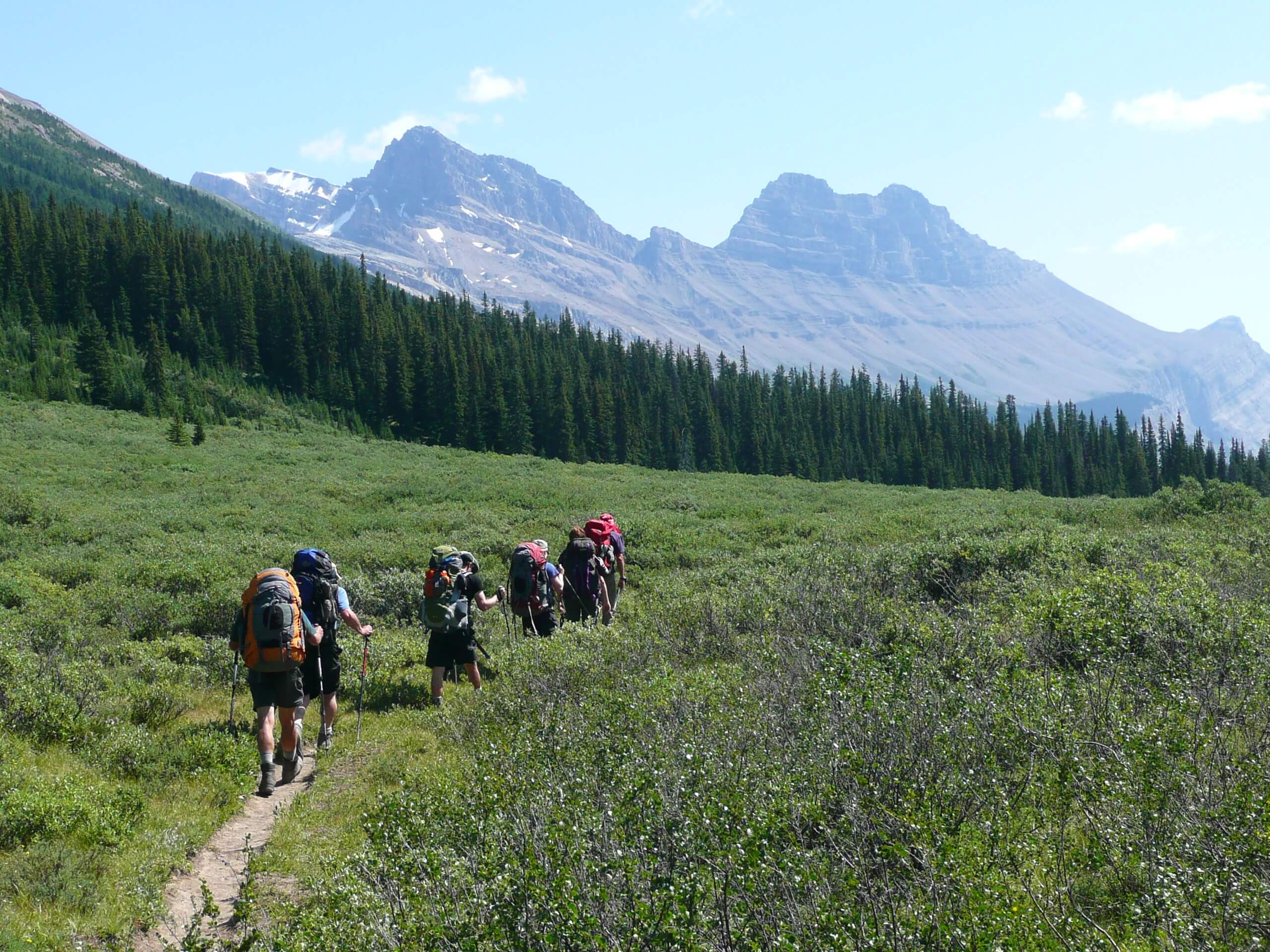 Group of hikers backpacking in a wide valley in Jasper