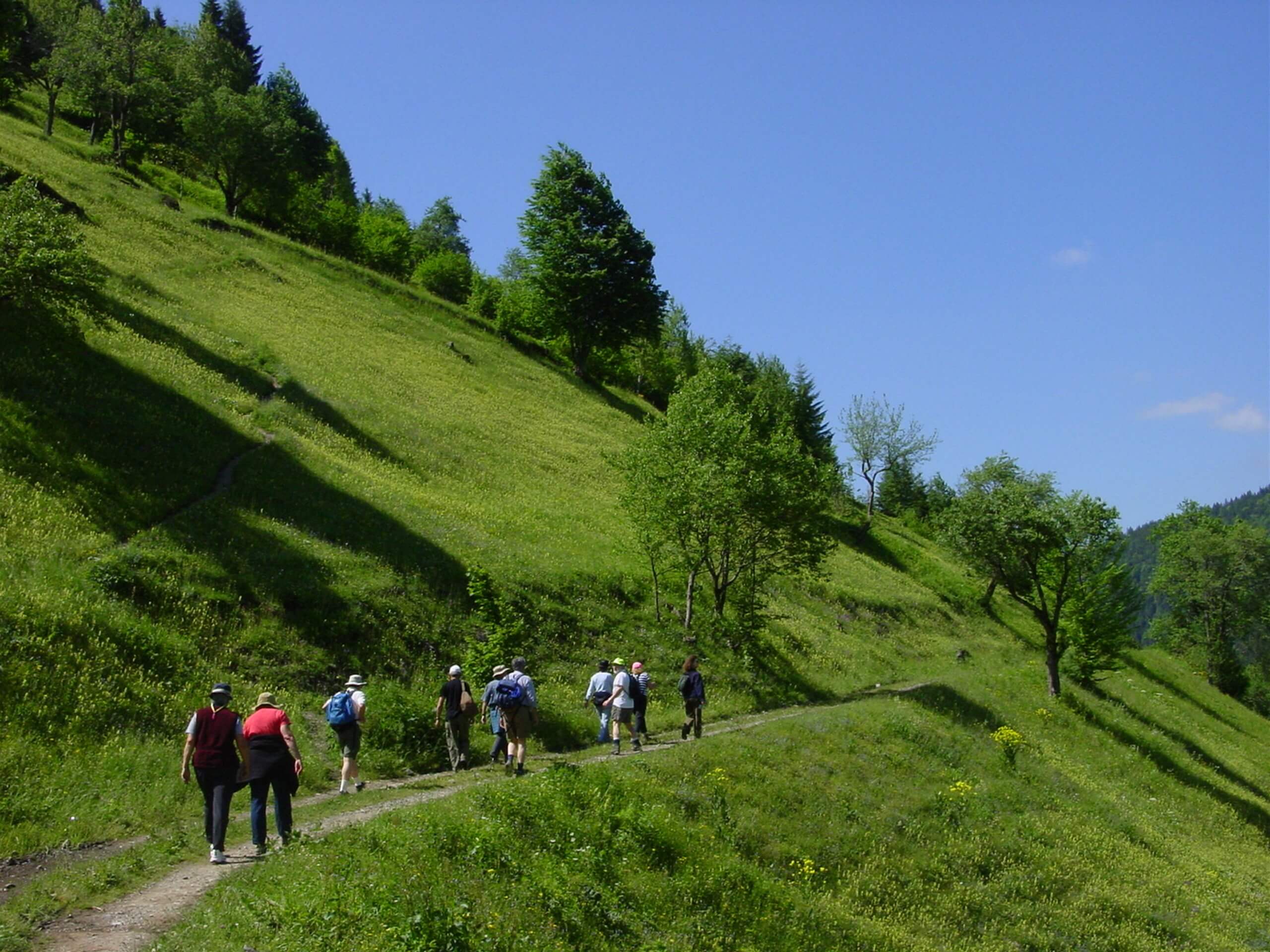 Group of trekkers walking along the green hills in Eastern Turkey