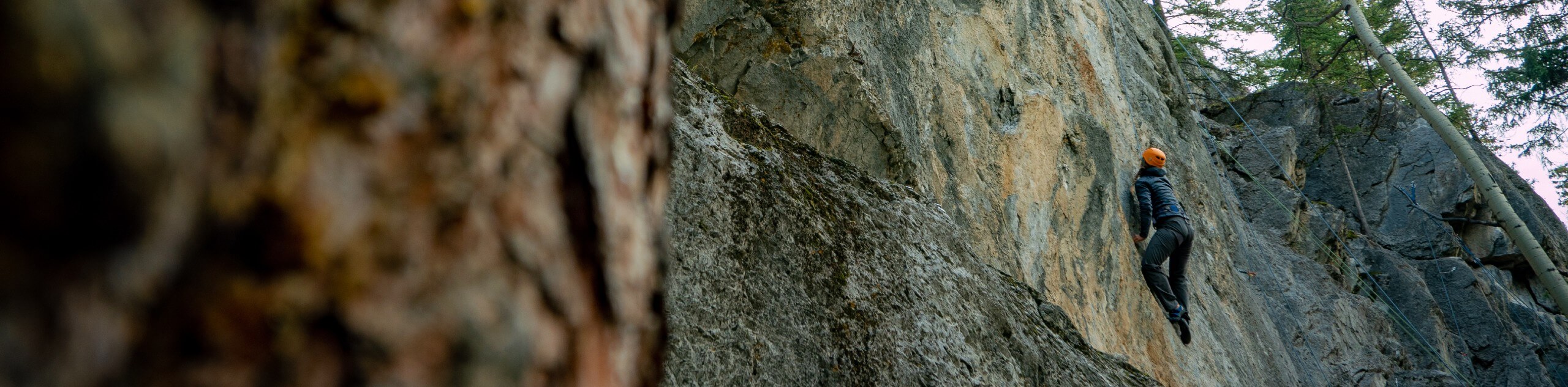 Outdoor Rock Climbing Level 1 in Canadian Rockies