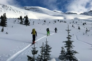 Avalanche Skills Training 1 in the Canadian Rockies