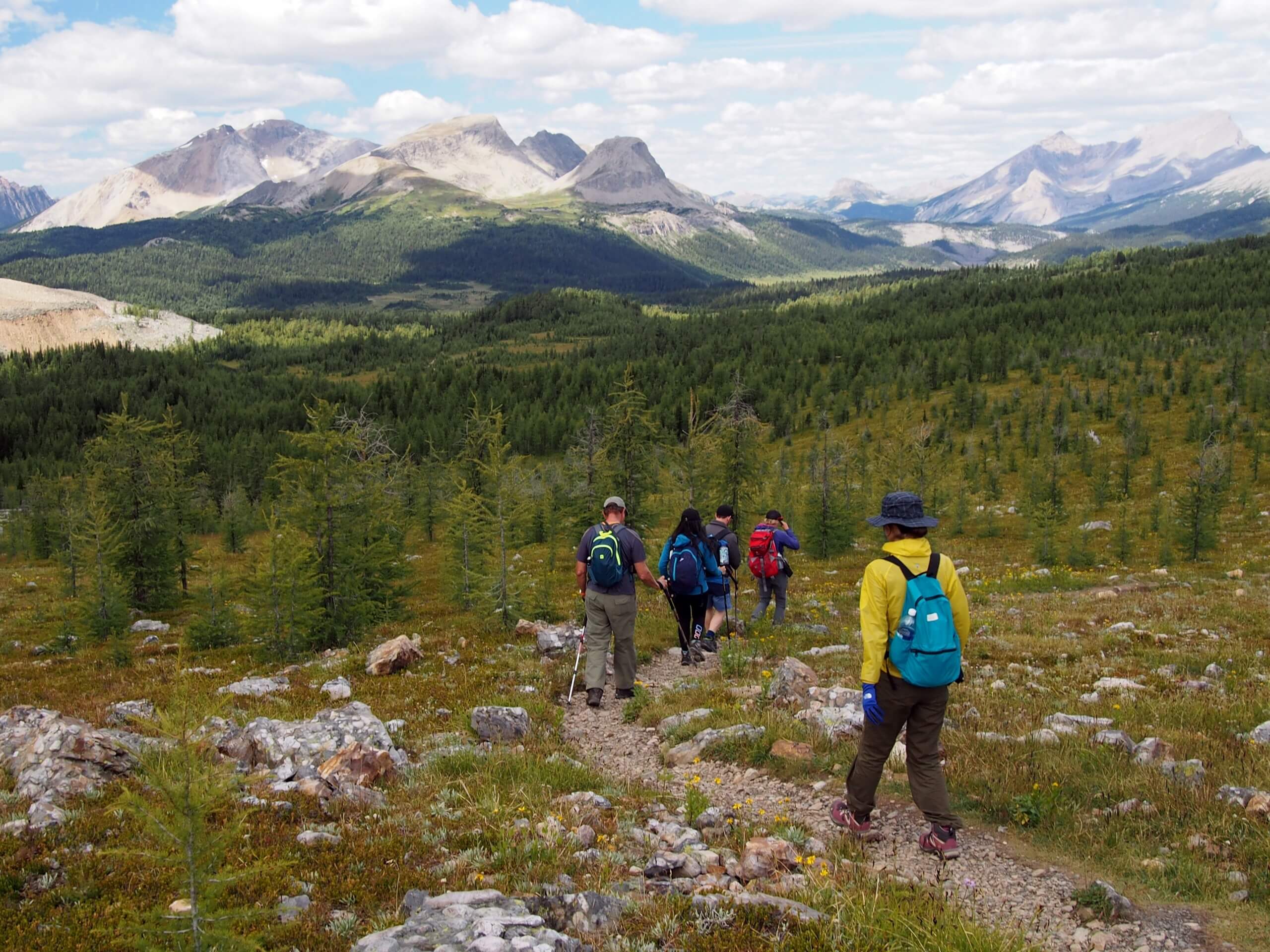 Group of hikers walking in the Assiniboine