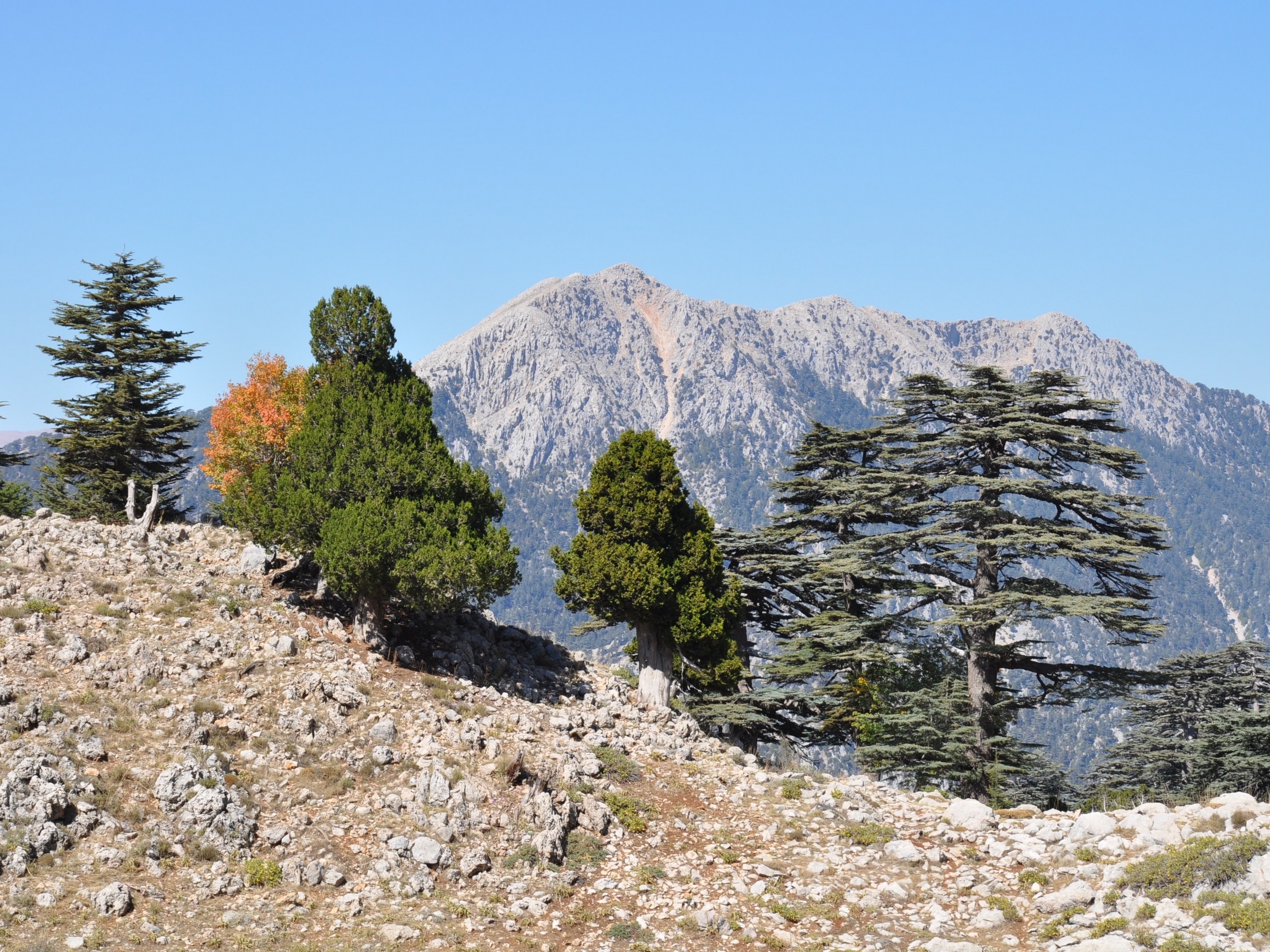 Olympos Mountain hikers