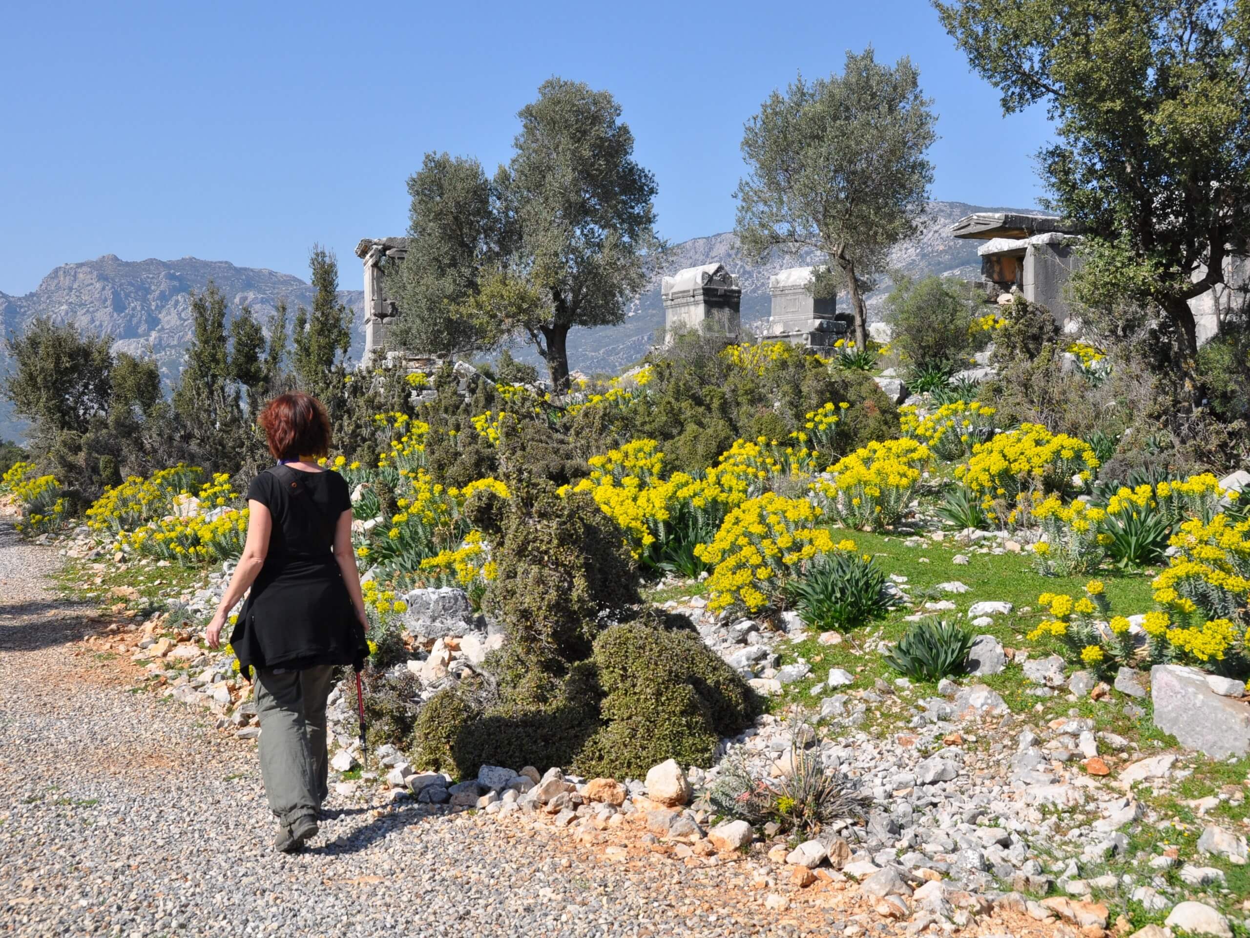 Walking along the wide Lycian Way path