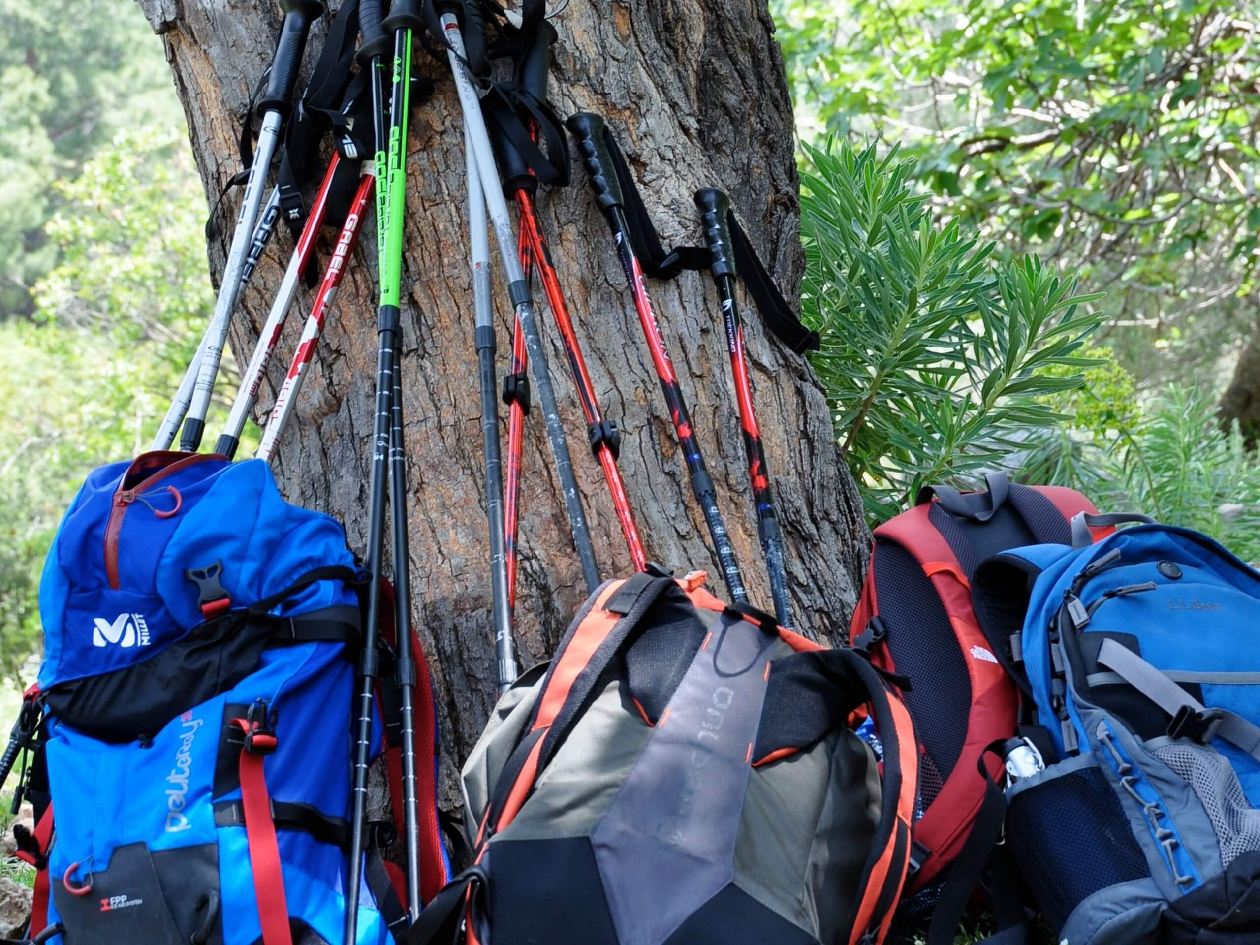 Backpacks on Seven Capes Trek