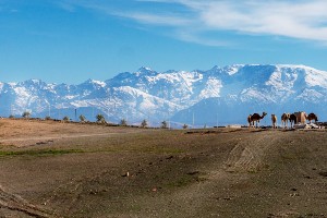 Deluxe Atlas Mountains E-MTB Tour