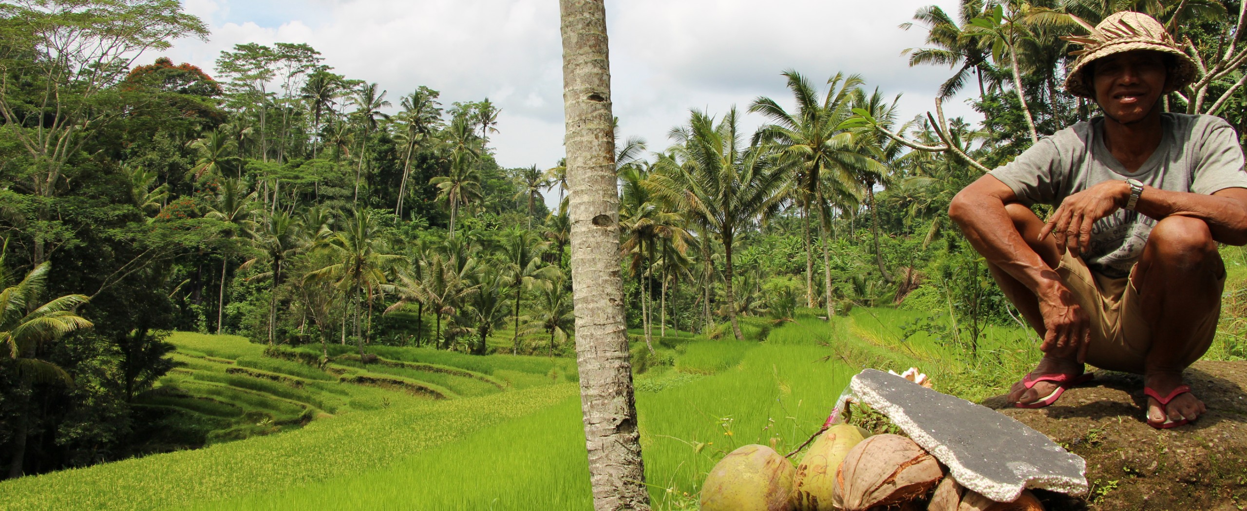 Bali Sightseeing