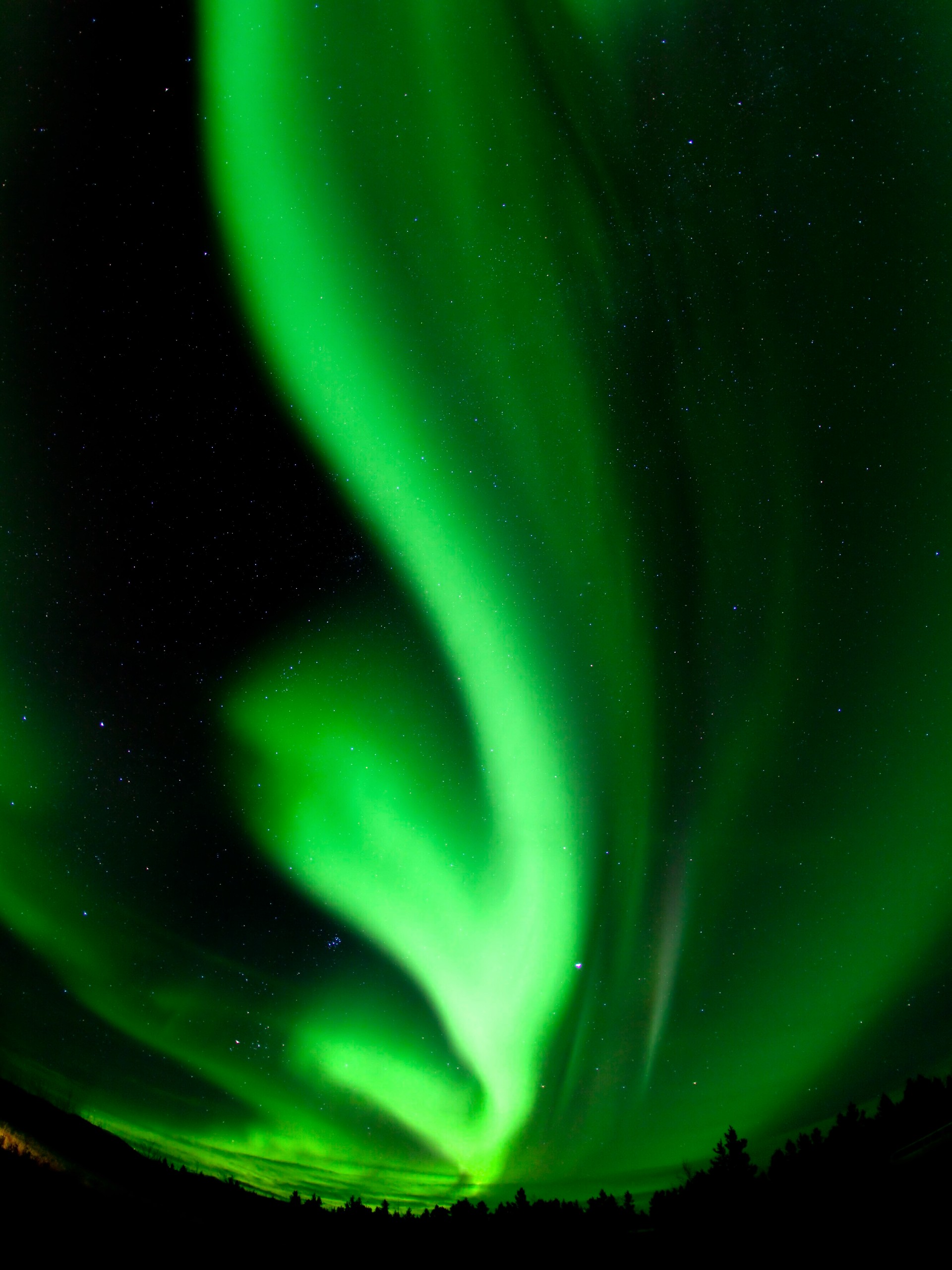 Green Northern Lights seen in Yukon