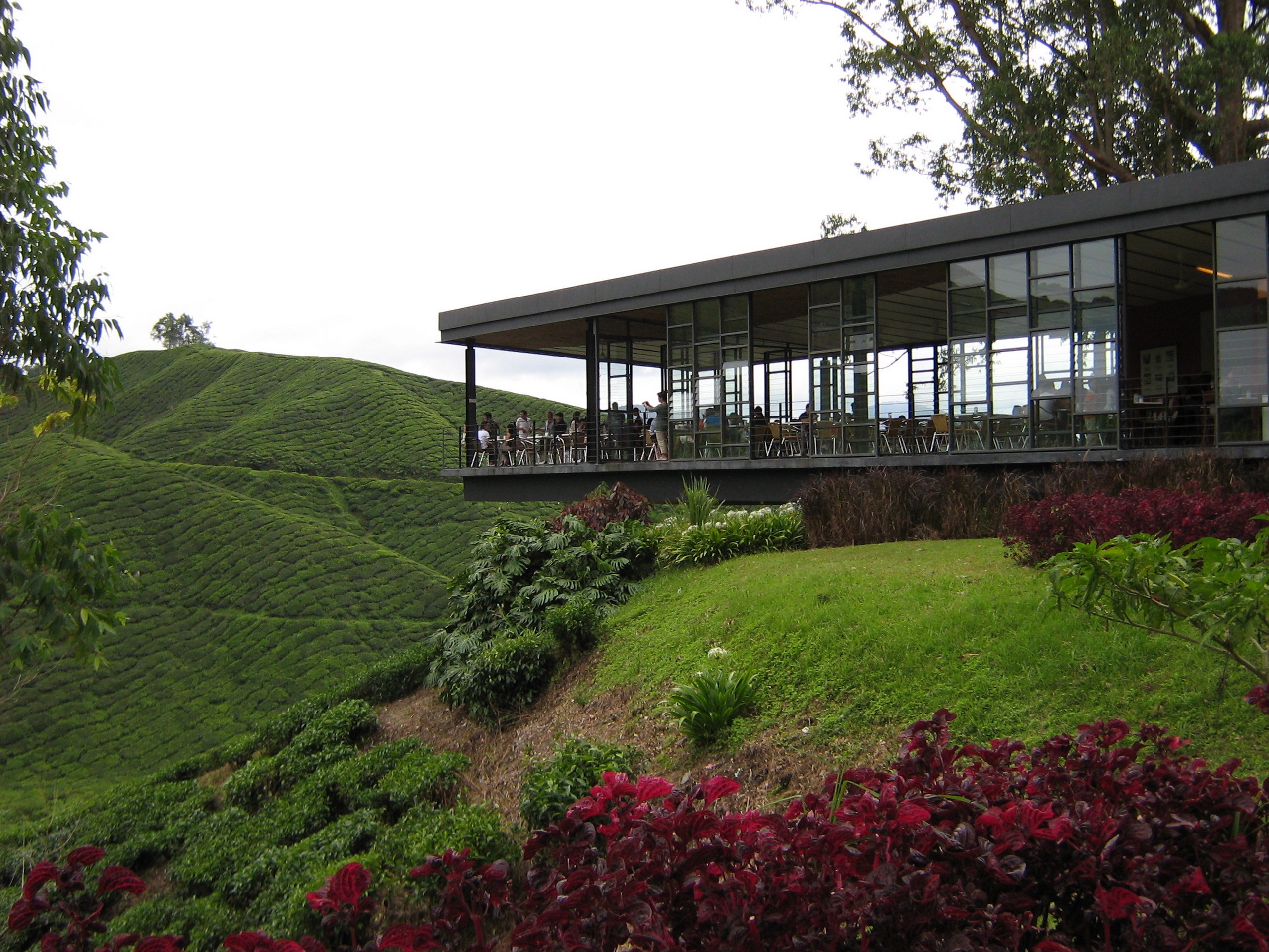 Cameron Highlands - Tea House